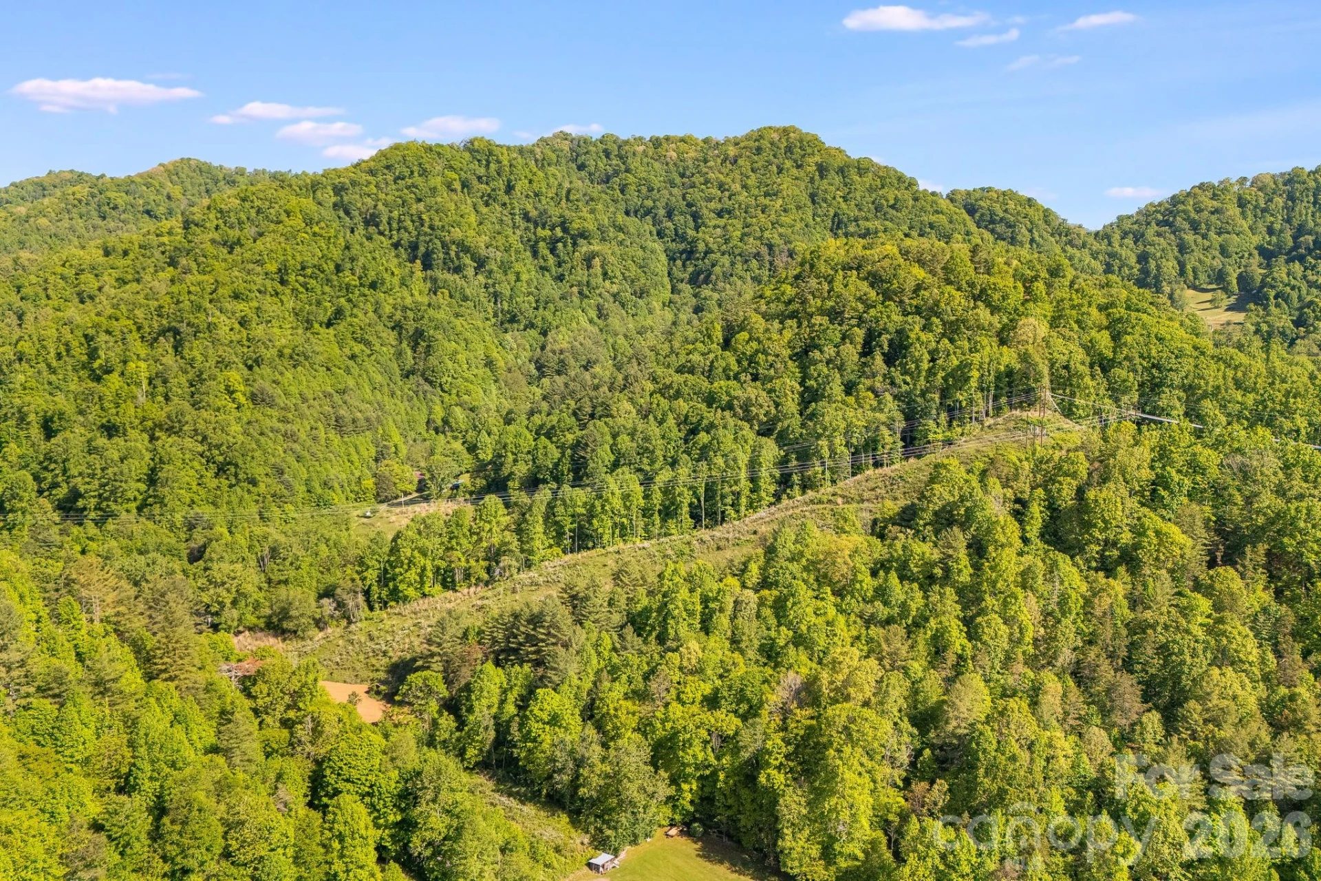 130 Black Crow Road - Photo 9