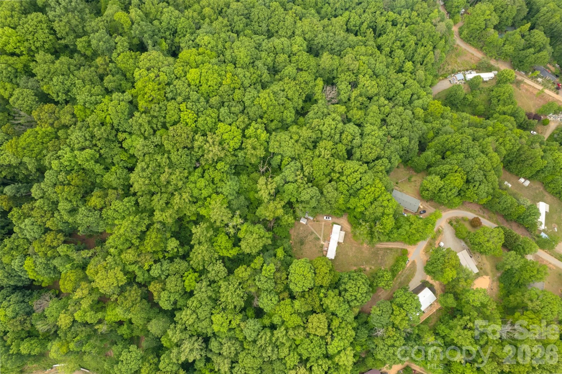 30 Gertrude Lane - Photo 4