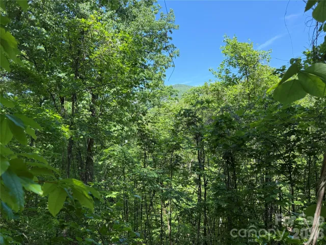 0 Buffalo Shoals Road, Lake Lure, NC, 28746
