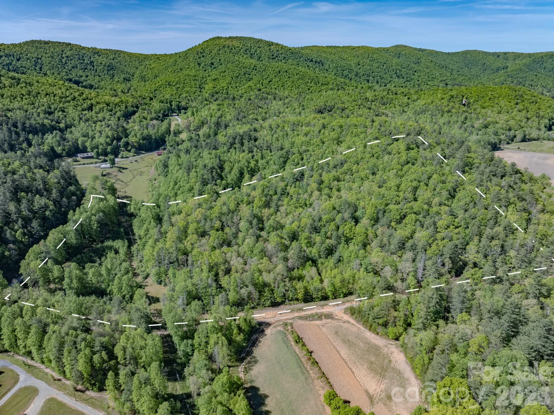 4111 Bobs Creek Road - Photo 2