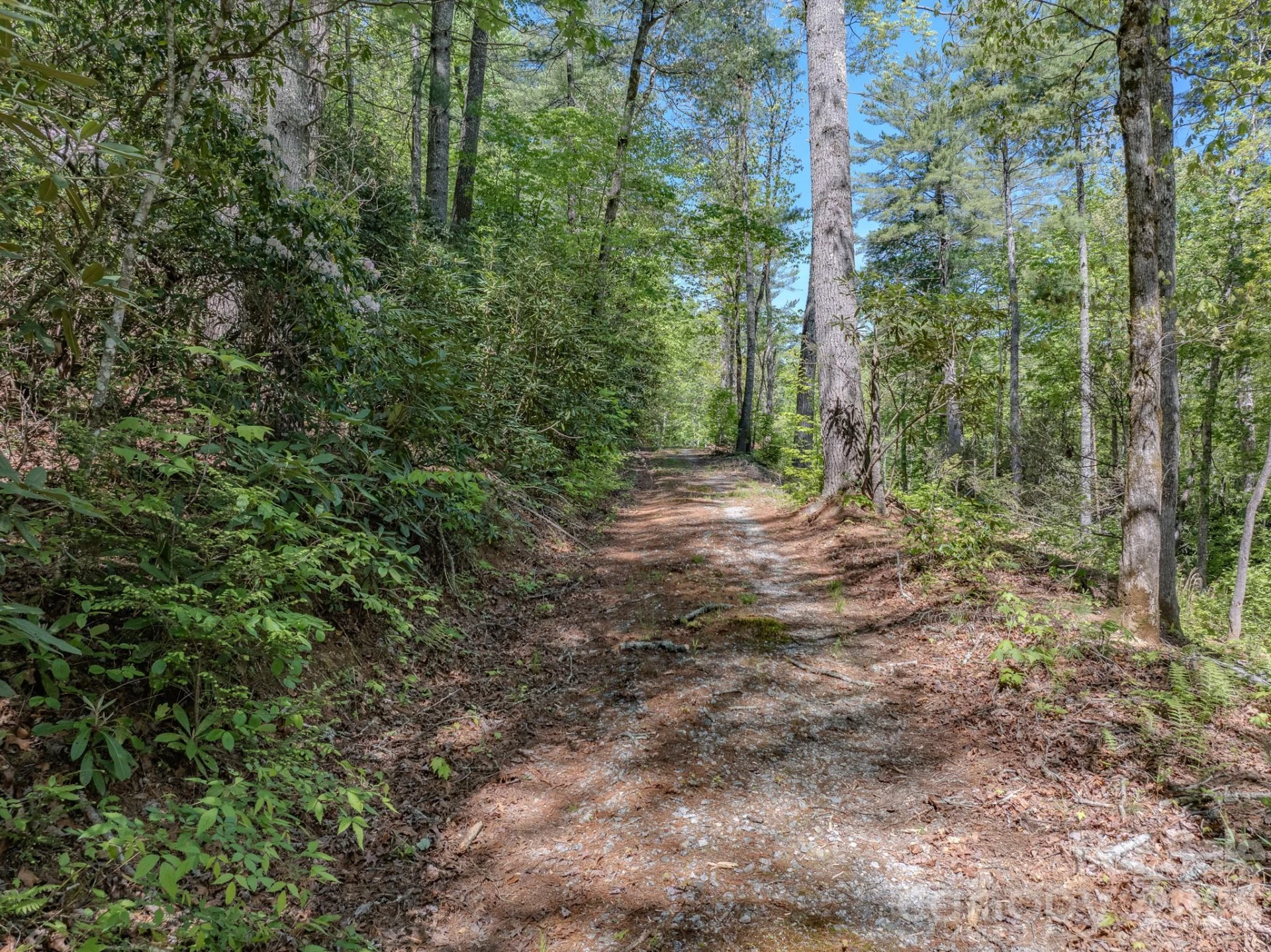 4111 Bobs Creek Road - Photo 11