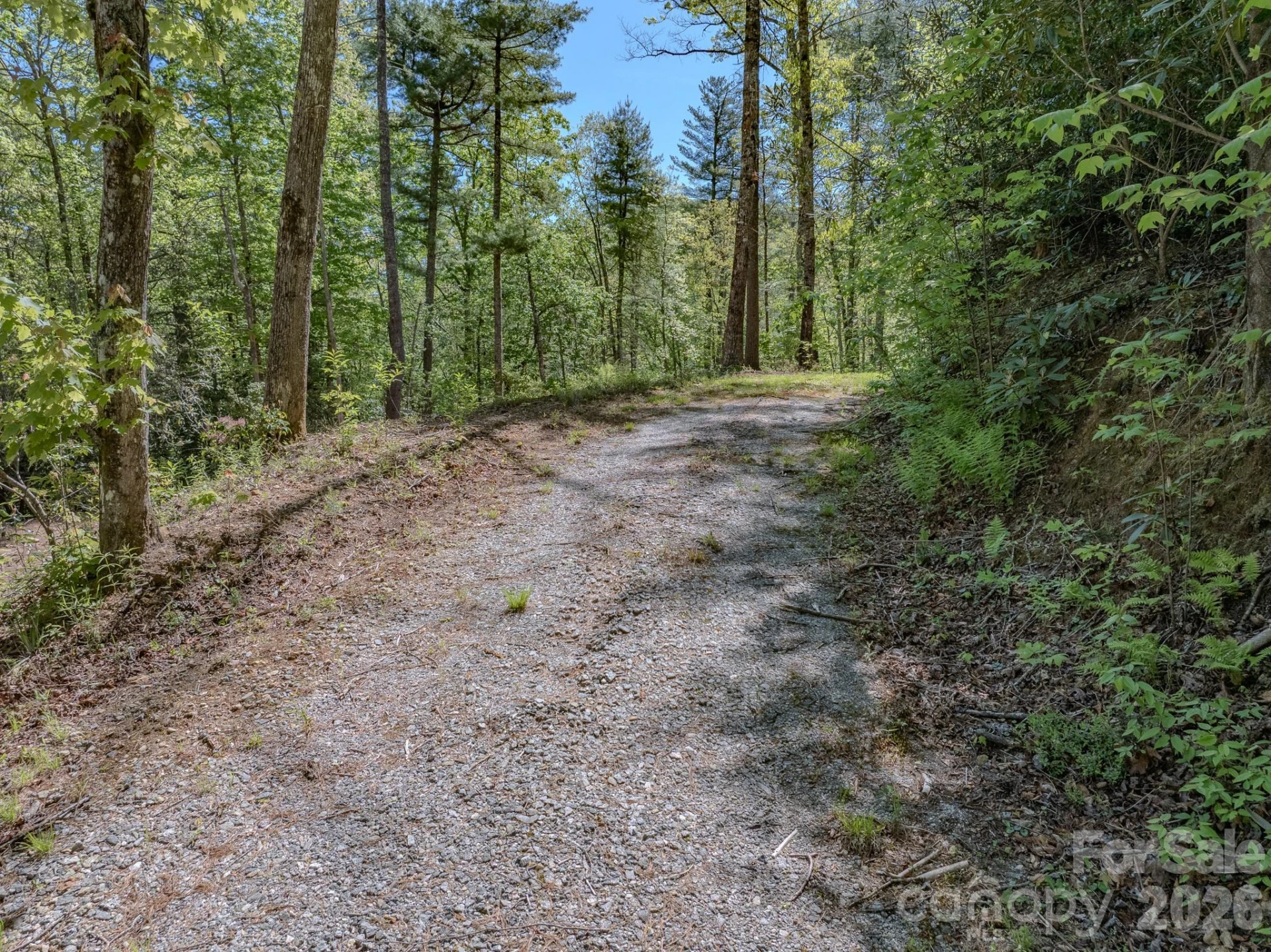 4111 Bobs Creek Road - Photo 12