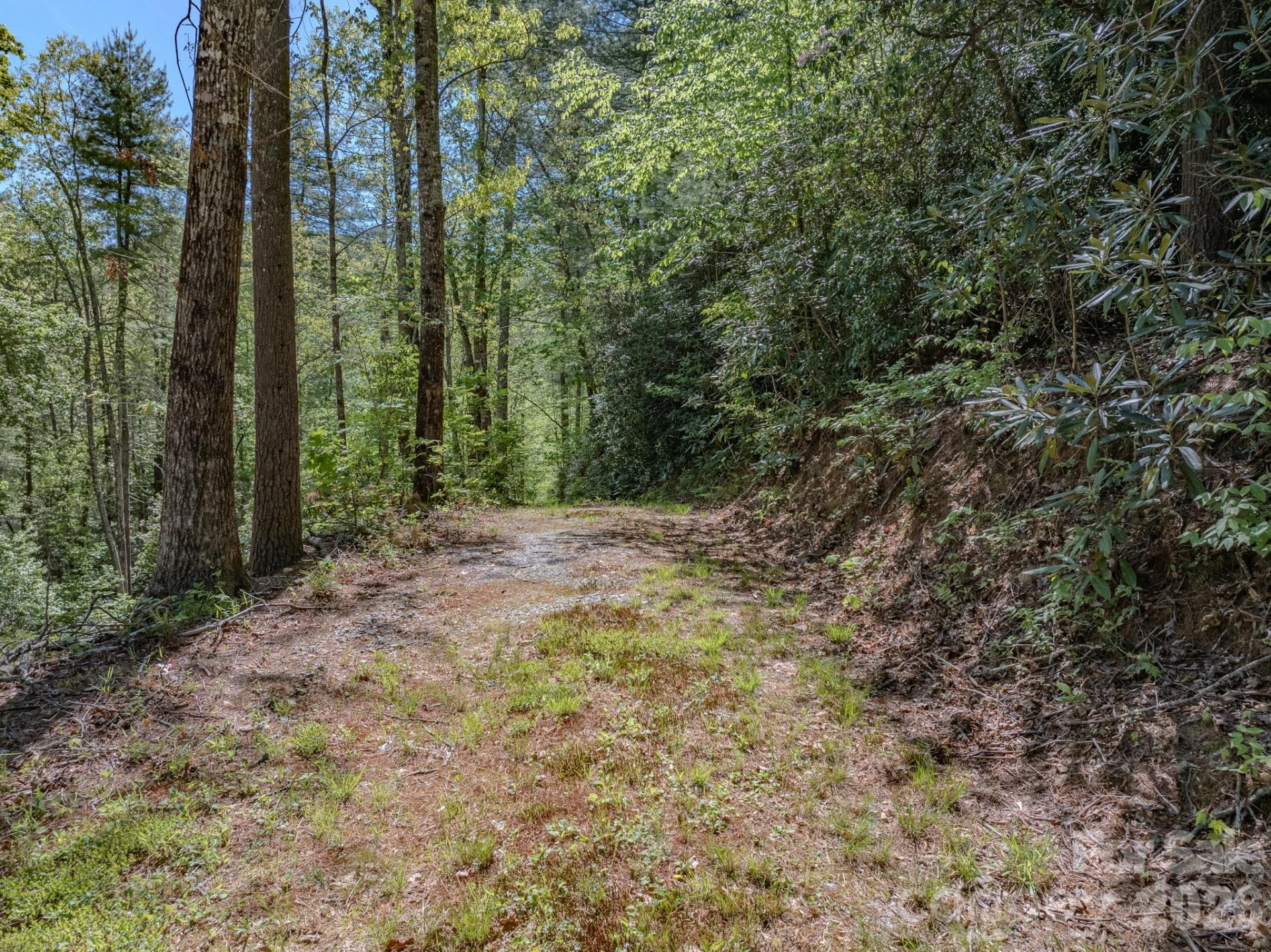 4111 Bobs Creek Road - Photo 13