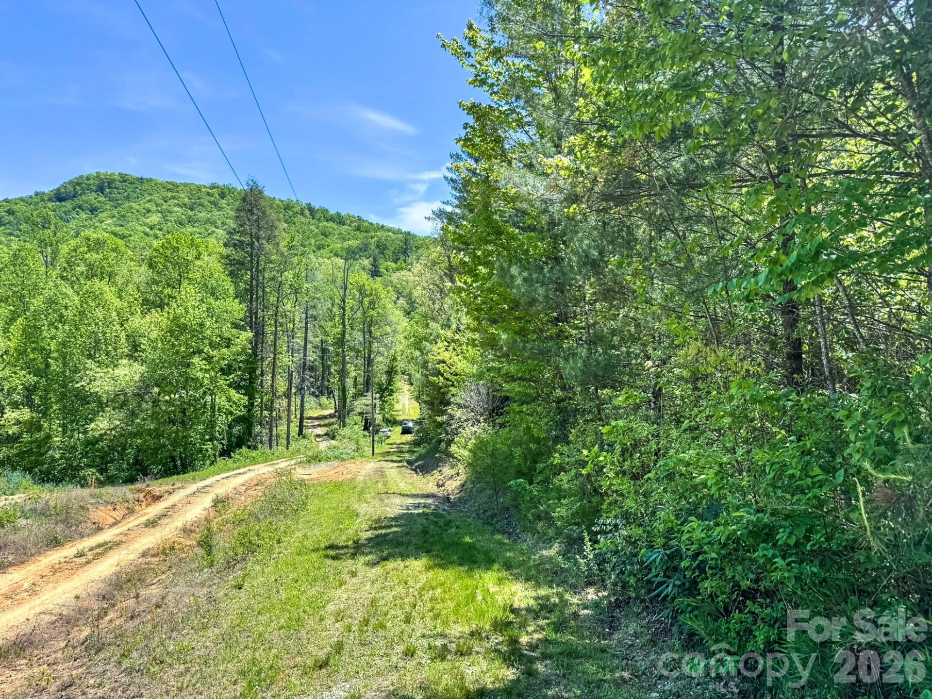 4111 Bobs Creek Road - Photo 14