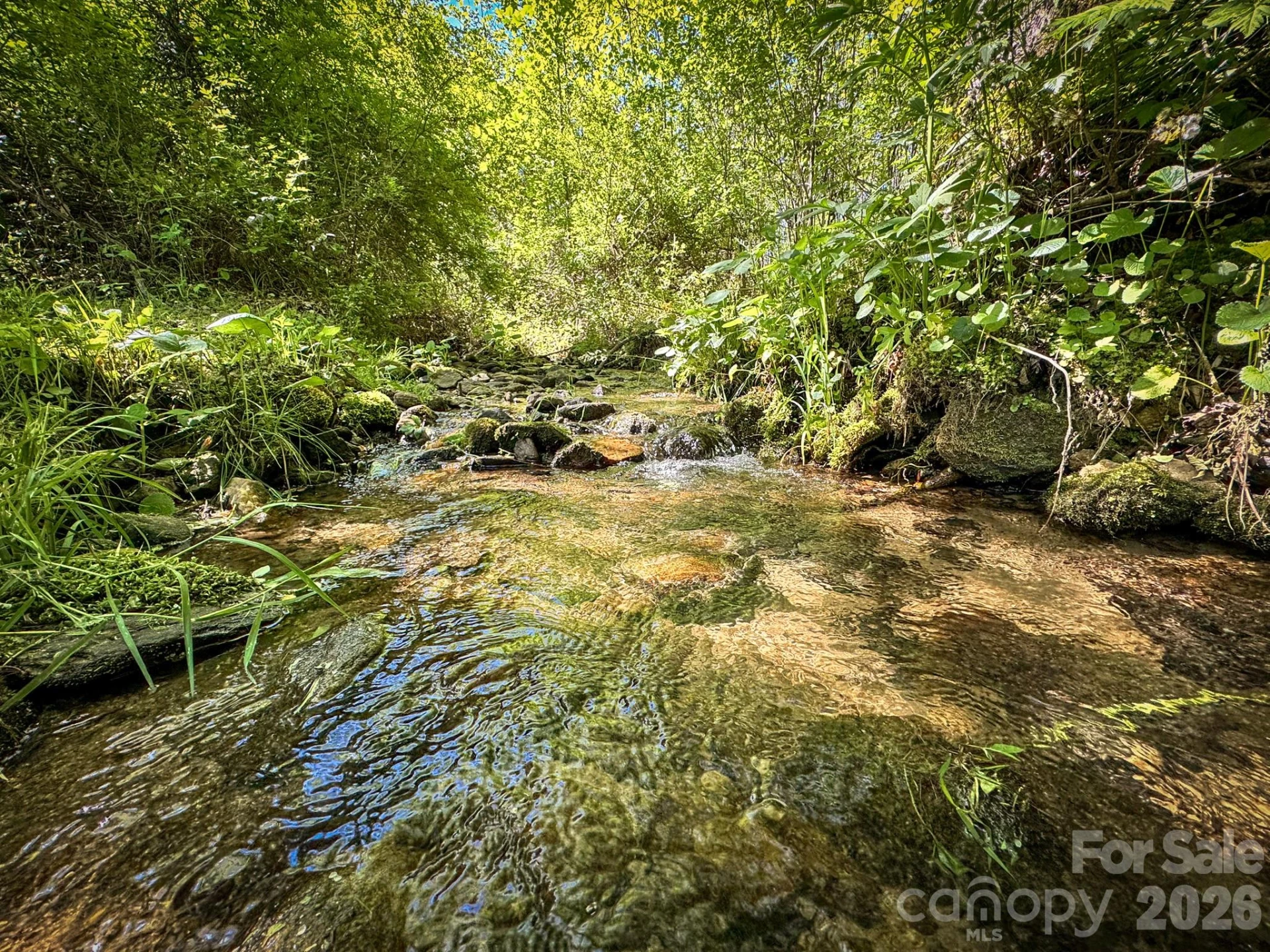4111 Bobs Creek Road - Photo 17