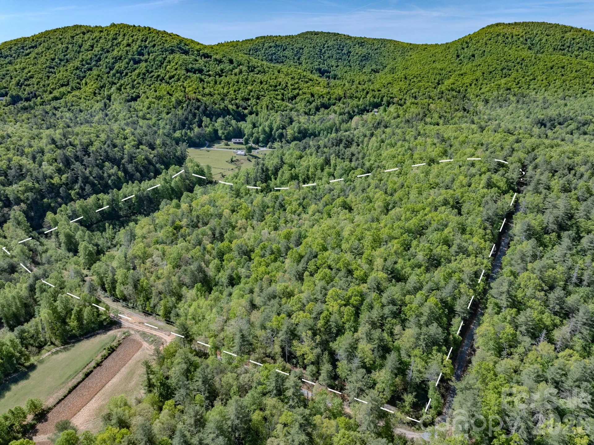 4111 Bobs Creek Road - Photo 3
