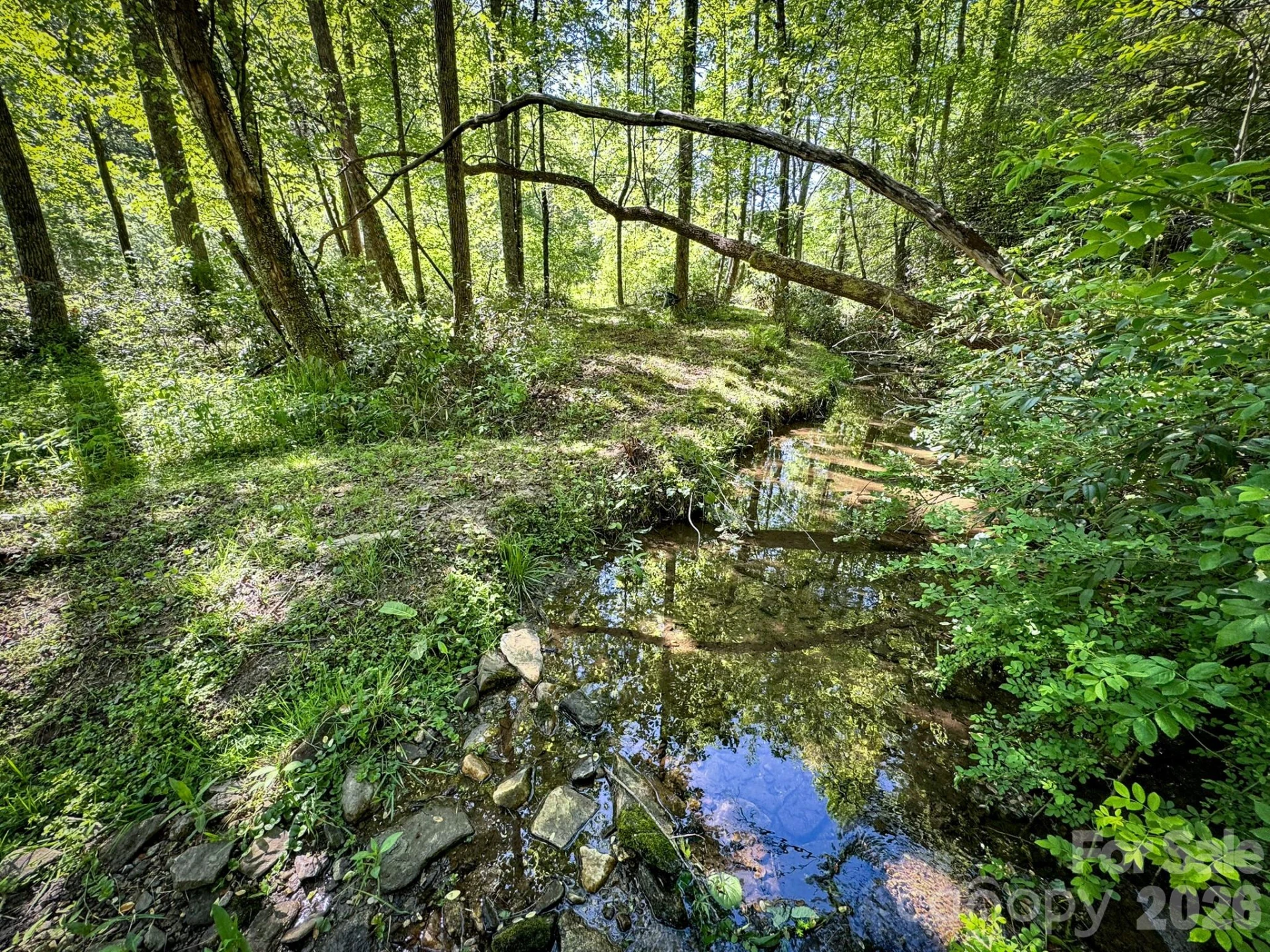 4111 Bobs Creek Road - Photo 22