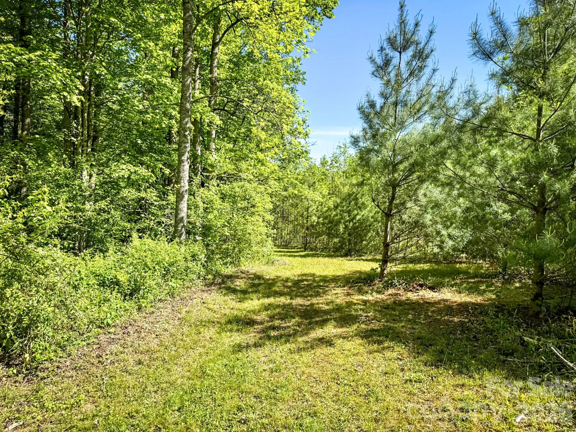 4111 Bobs Creek Road - Photo 25