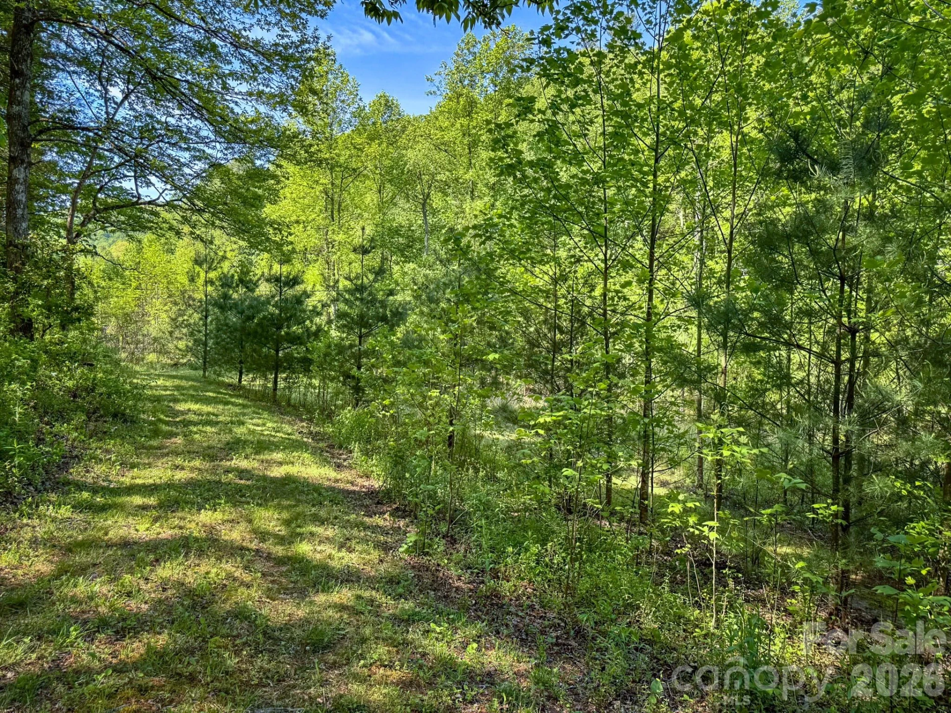 4111 Bobs Creek Road - Photo 28
