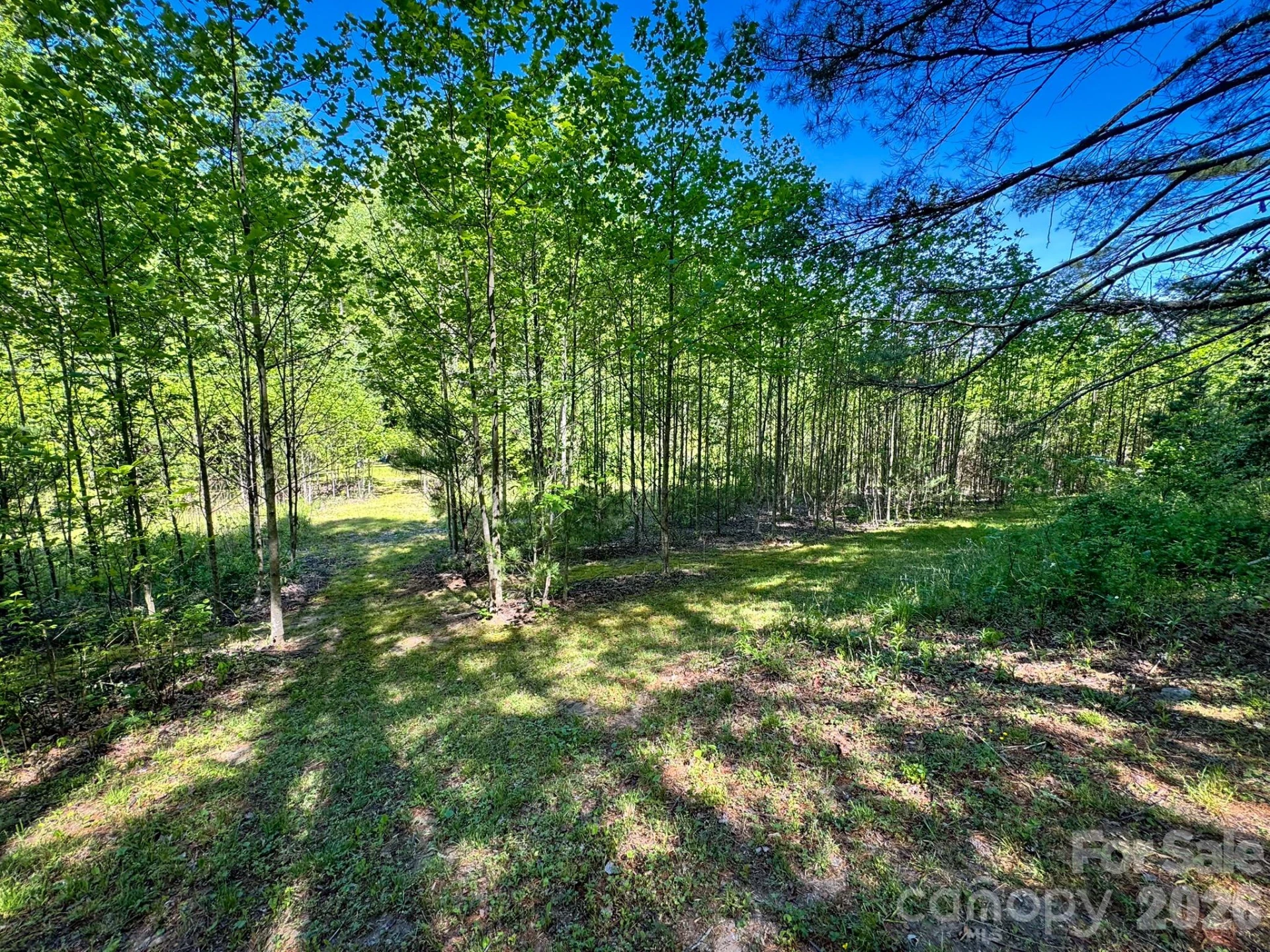 4111 Bobs Creek Road - Photo 29