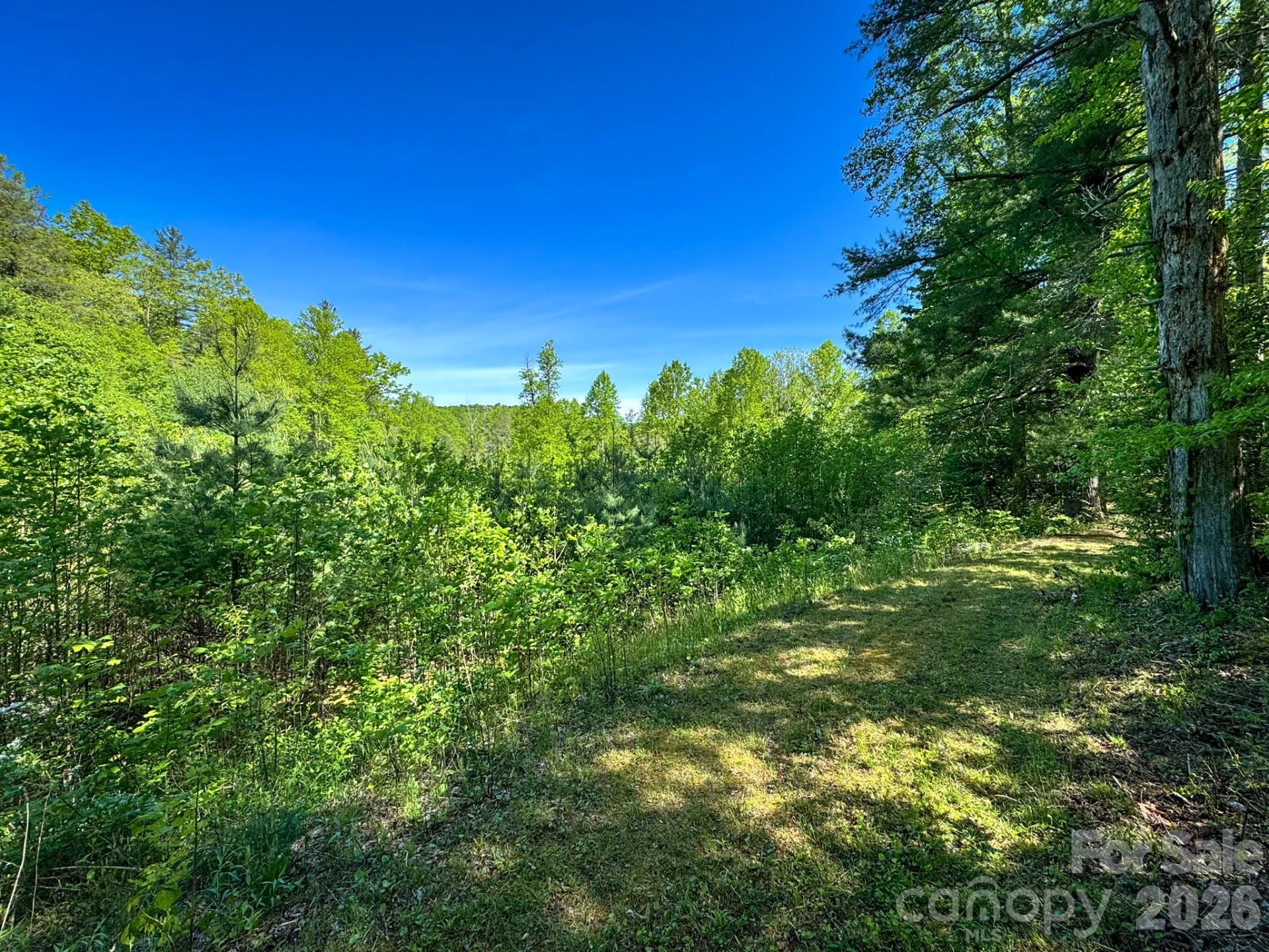 4111 Bobs Creek Road - Photo 30
