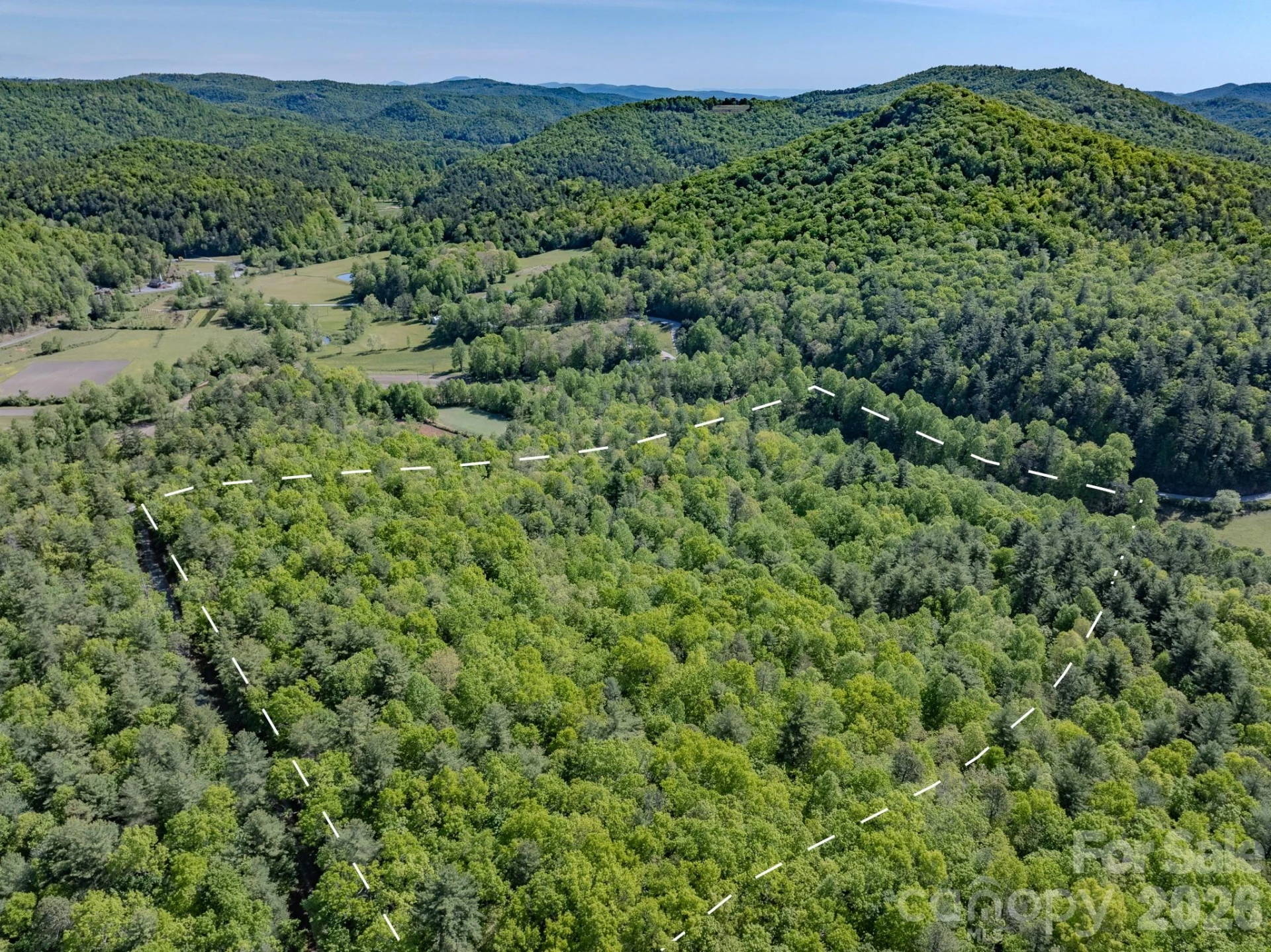 4111 Bobs Creek Road - Photo 4