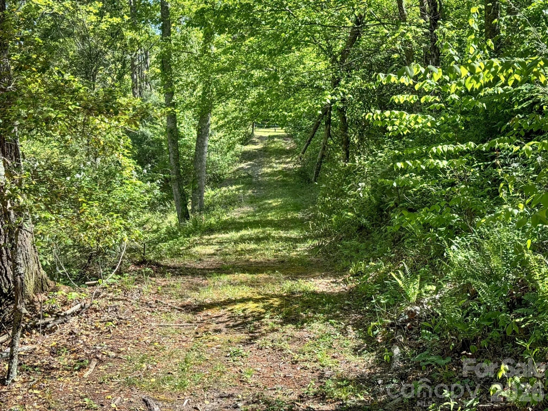 4111 Bobs Creek Road - Photo 31