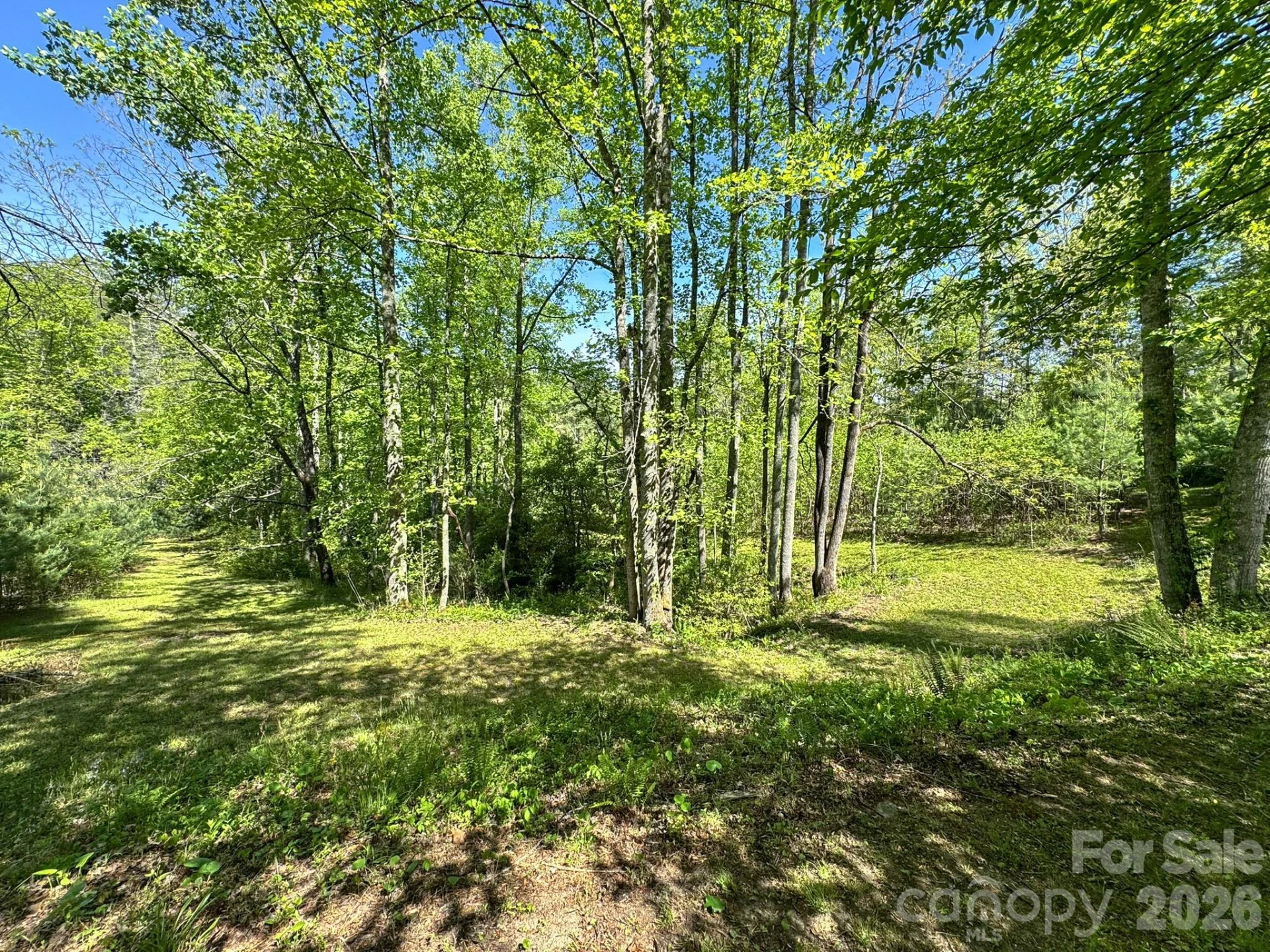 4111 Bobs Creek Road - Photo 32