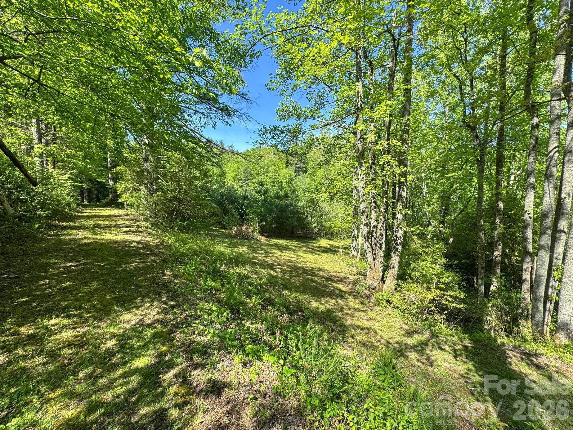 4111 Bobs Creek Road - Photo 33