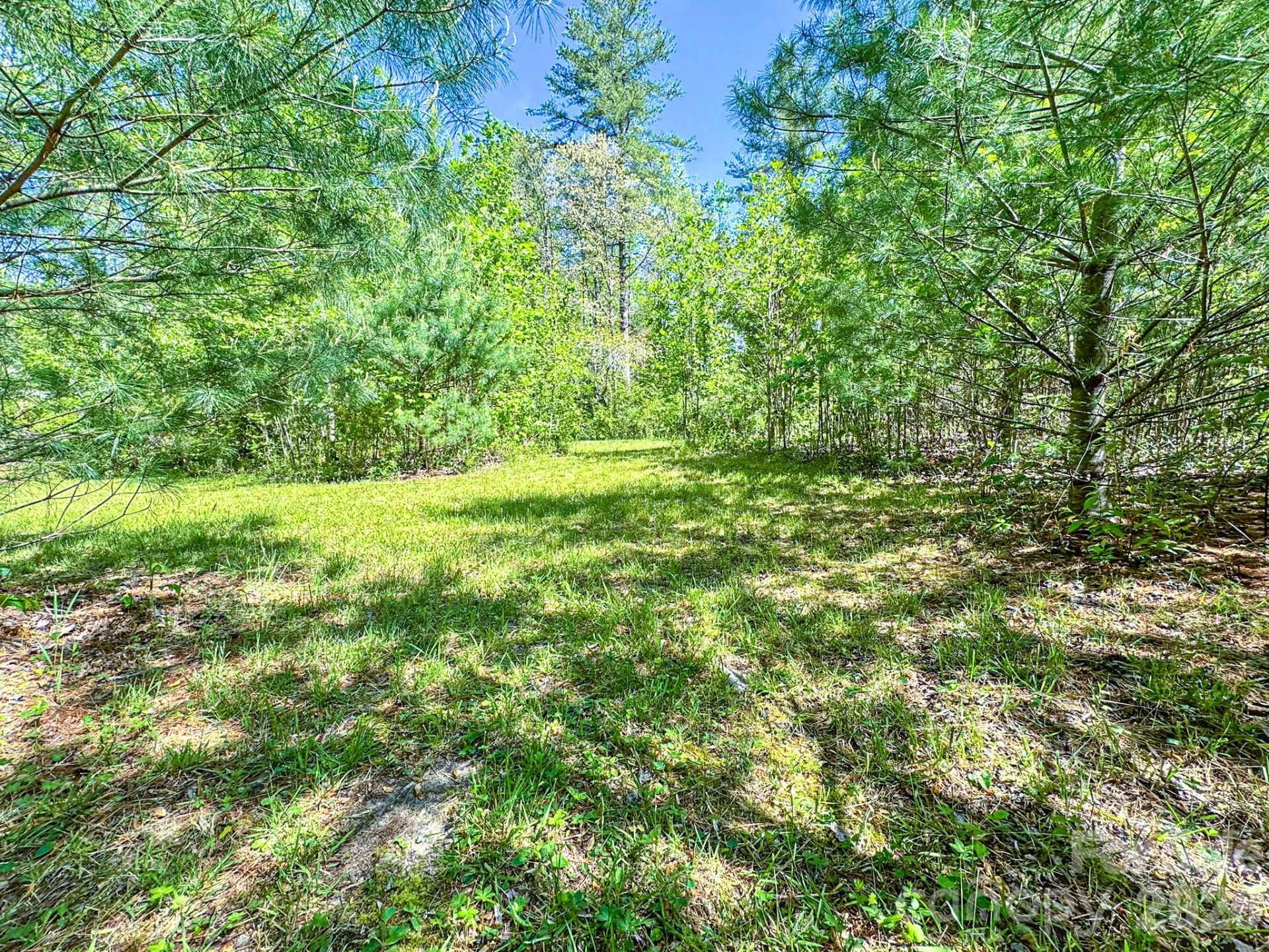 4111 Bobs Creek Road - Photo 36