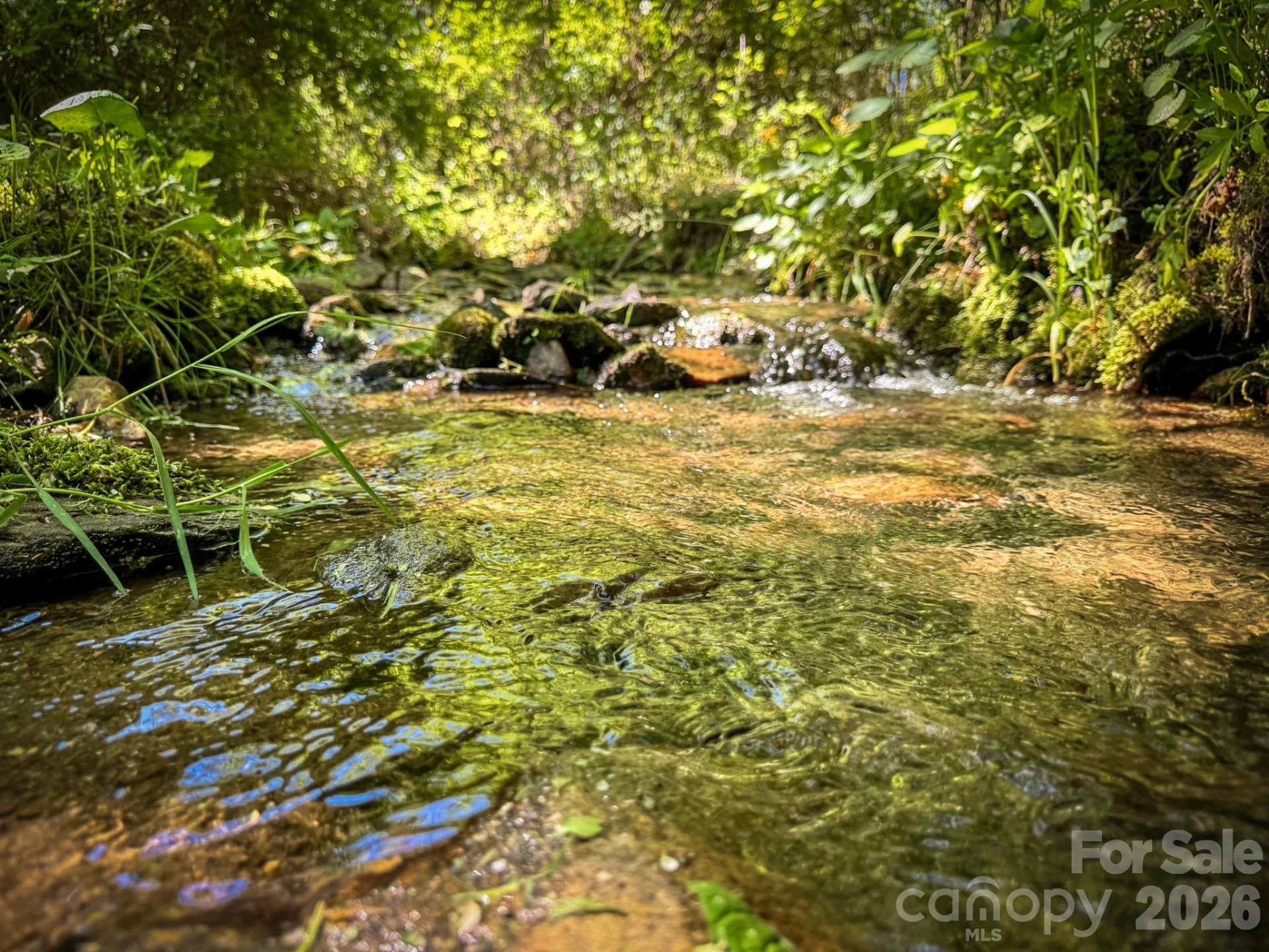 4111 Bobs Creek Road - Photo 39