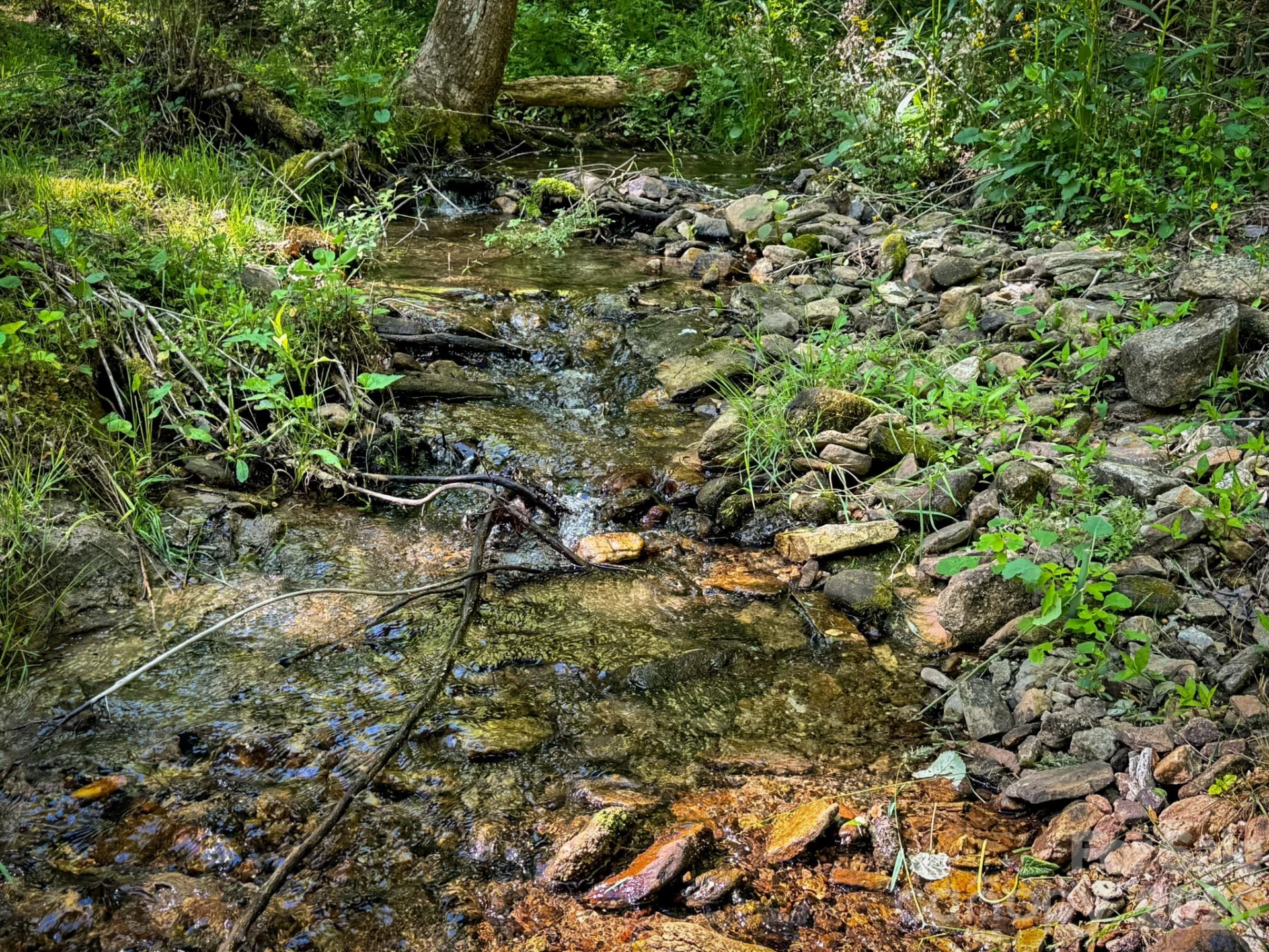4111 Bobs Creek Road - Photo 42
