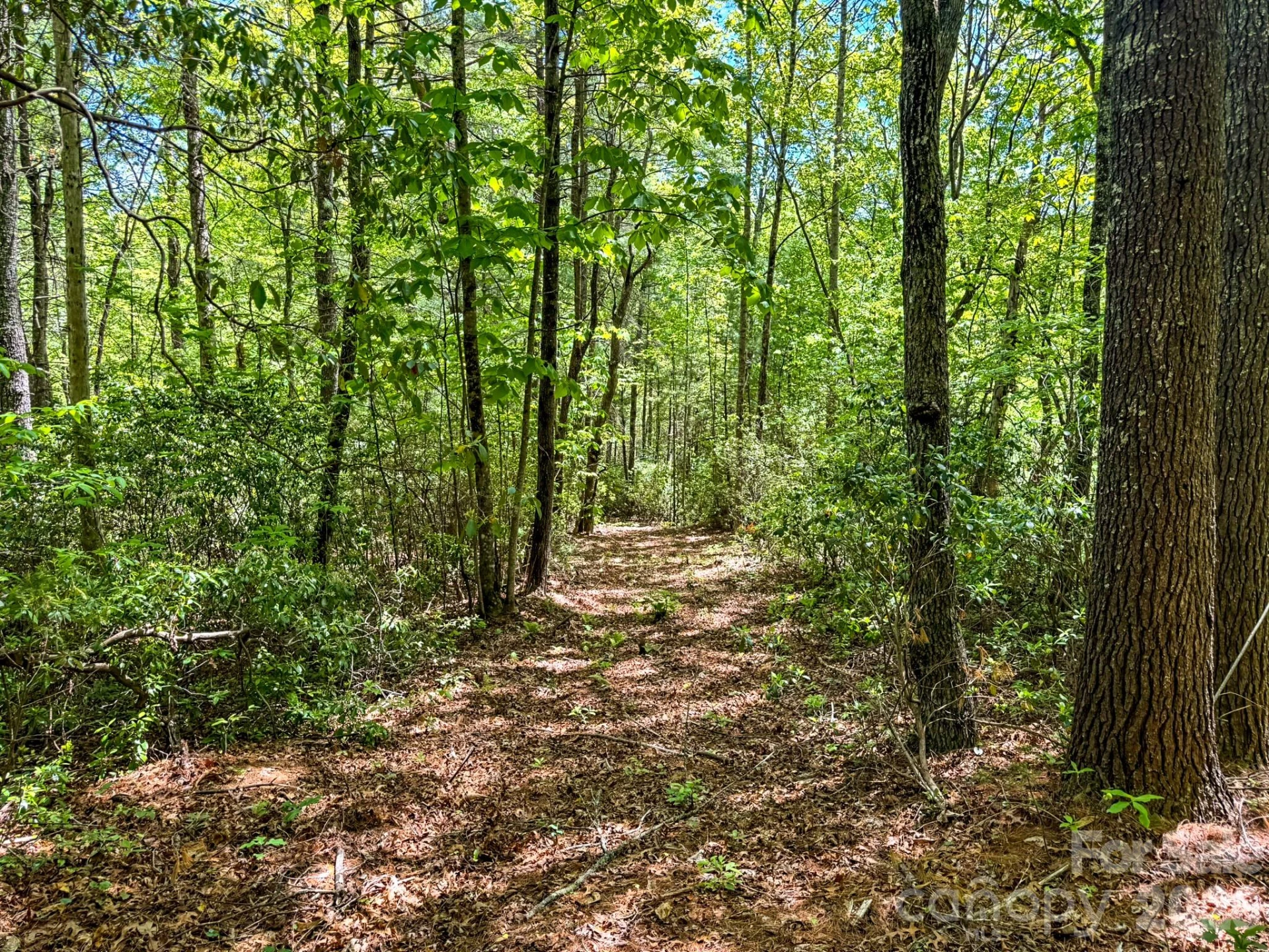 4111 Bobs Creek Road - Photo 44