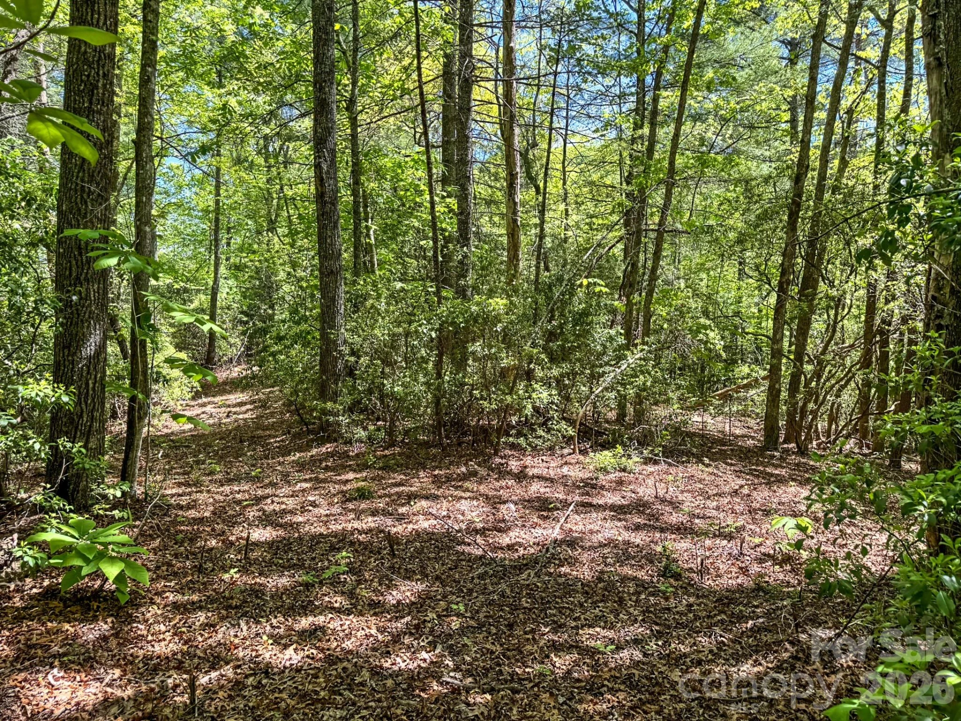 4111 Bobs Creek Road - Photo 45