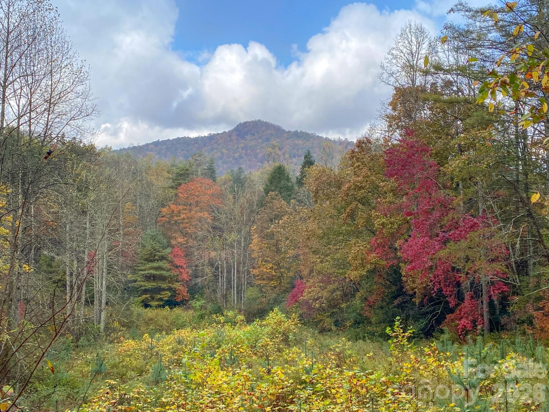 4111 Bobs Creek Road - Photo 46