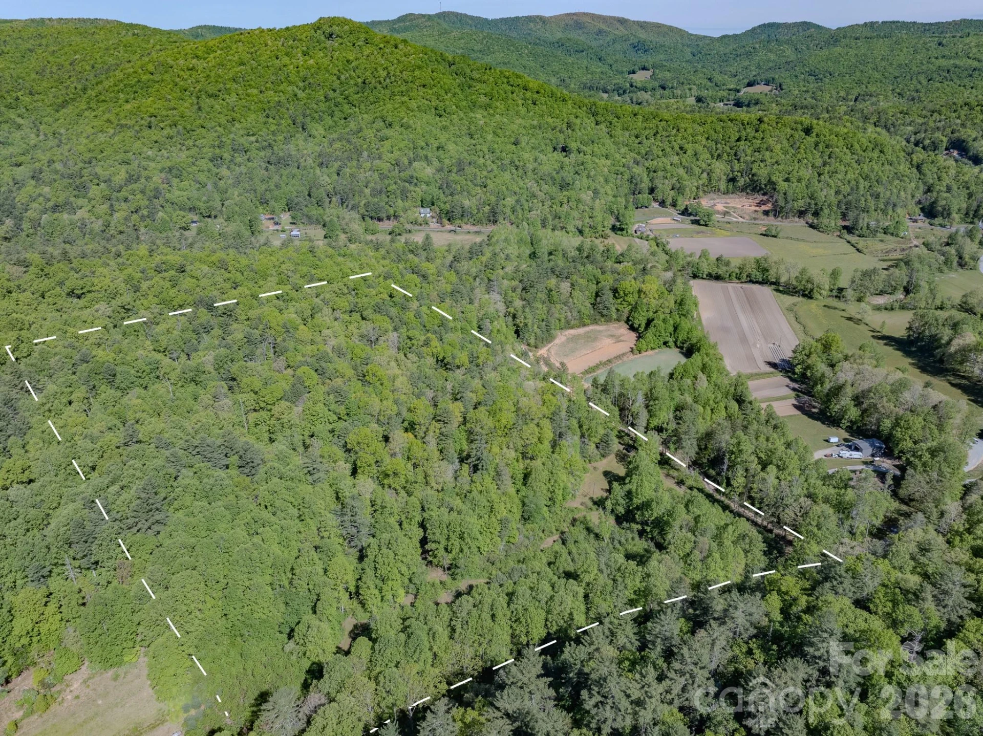 4111 Bobs Creek Road - Photo 6