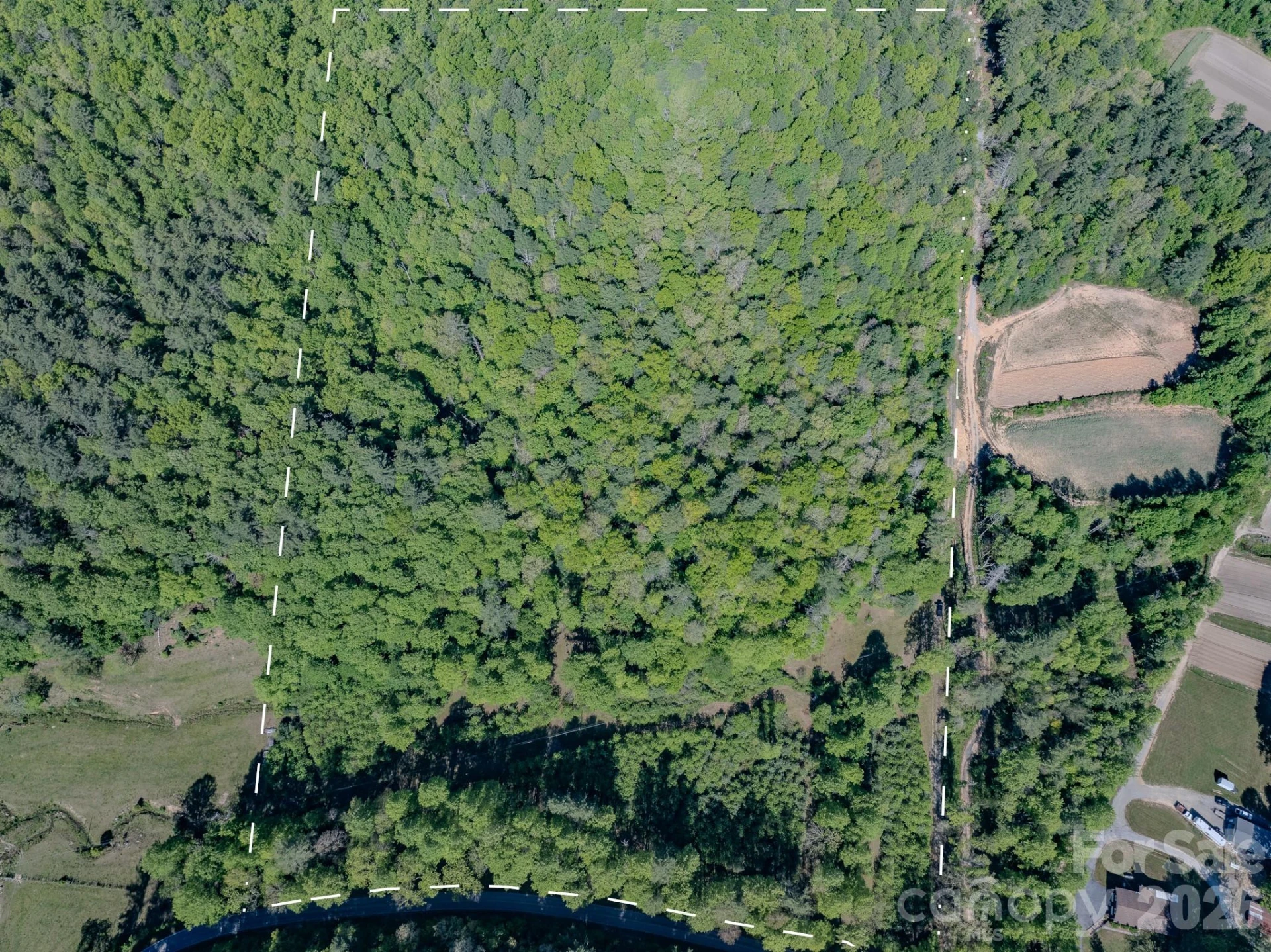 4111 Bobs Creek Road - Photo 8