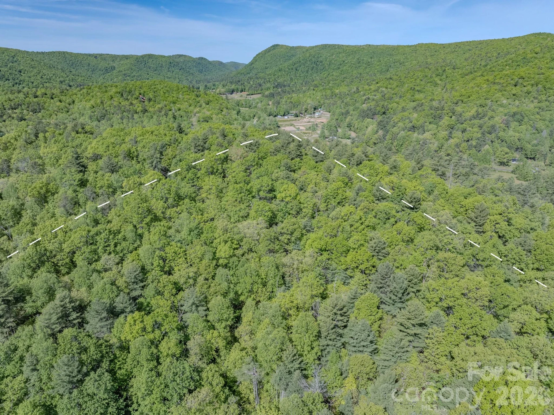 4111 Bobs Creek Road - Photo 9