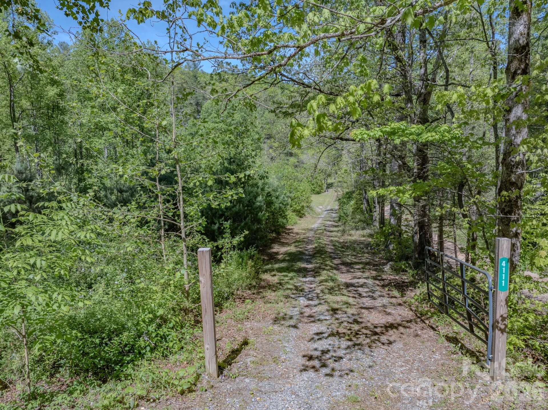 4111 Bobs Creek Road - Photo 10