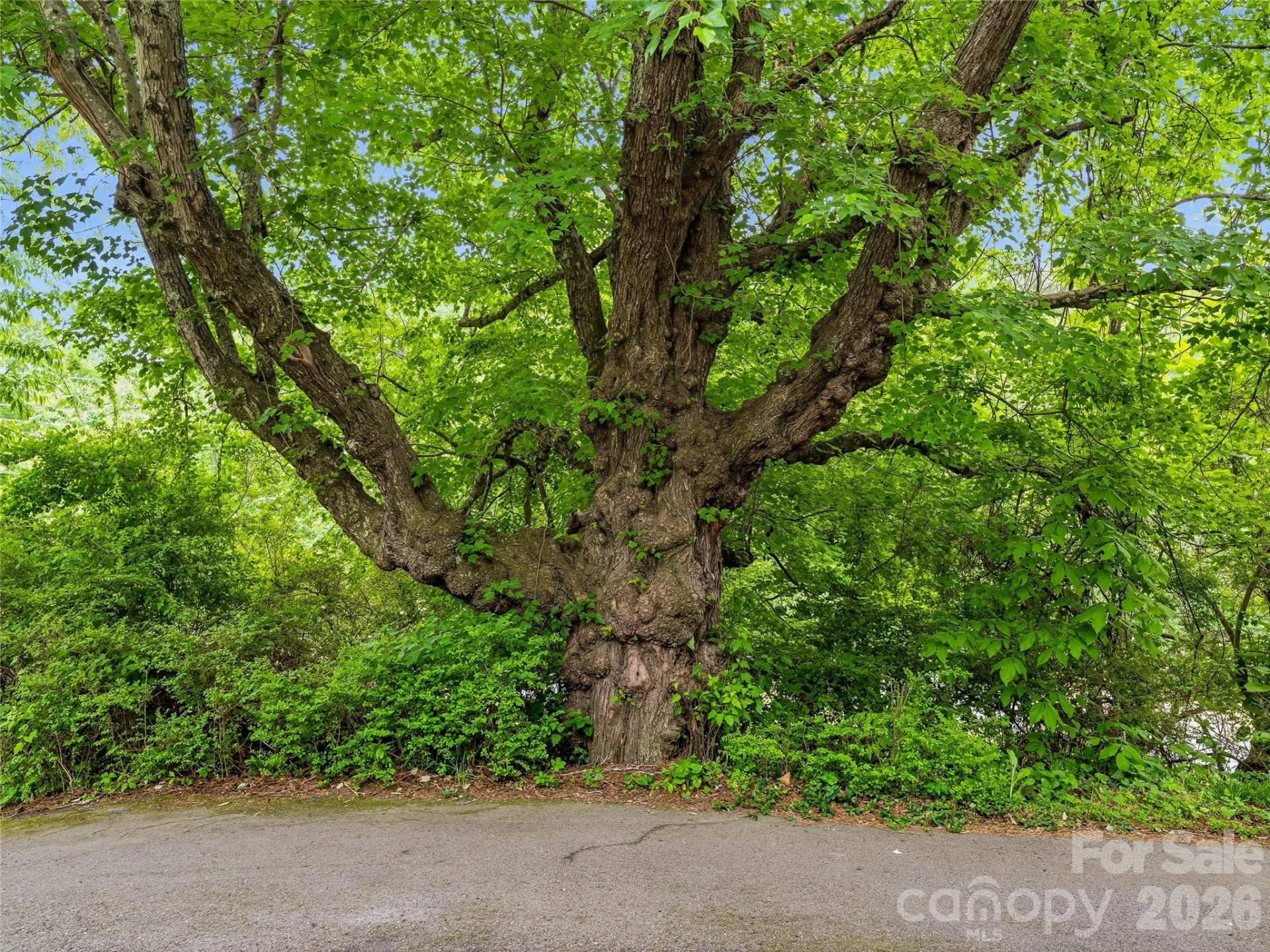 506 Johnston School Road - Photo 37