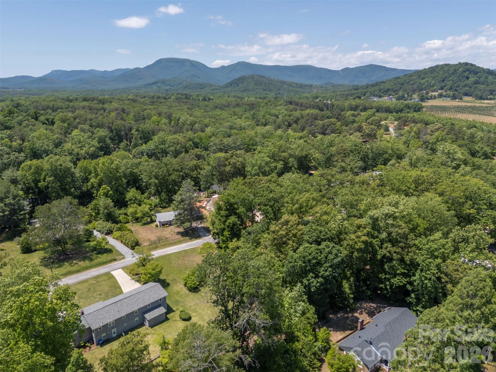 113 Chestnut Road - Photo 37