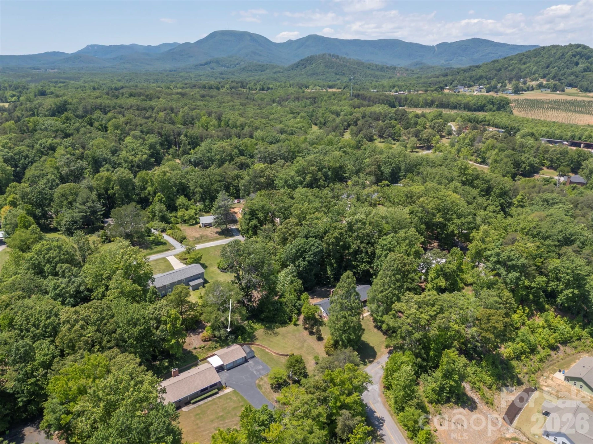 113 Chestnut Road - Photo 38