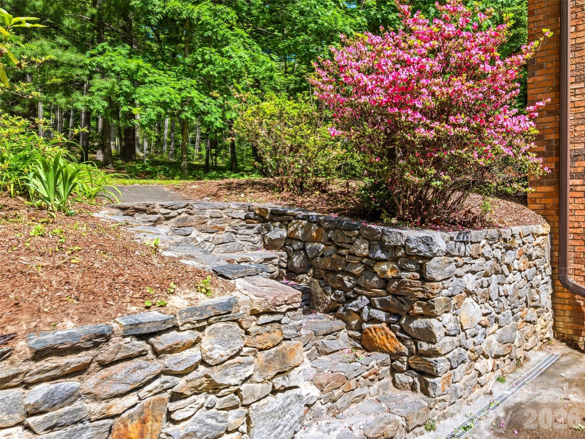11 Woodmere Drive - Photo 47