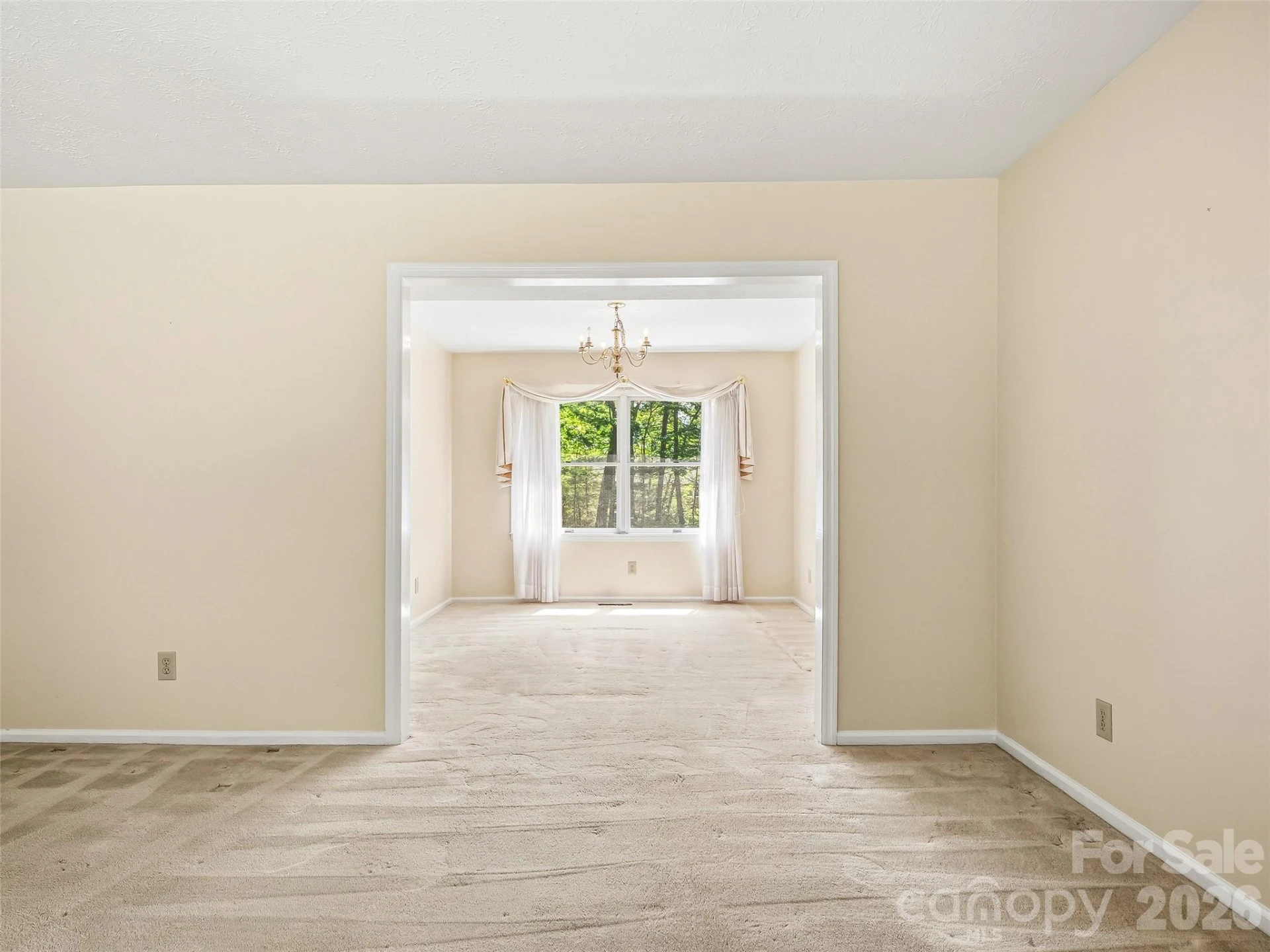 11 Woodmere Drive - Photo 10