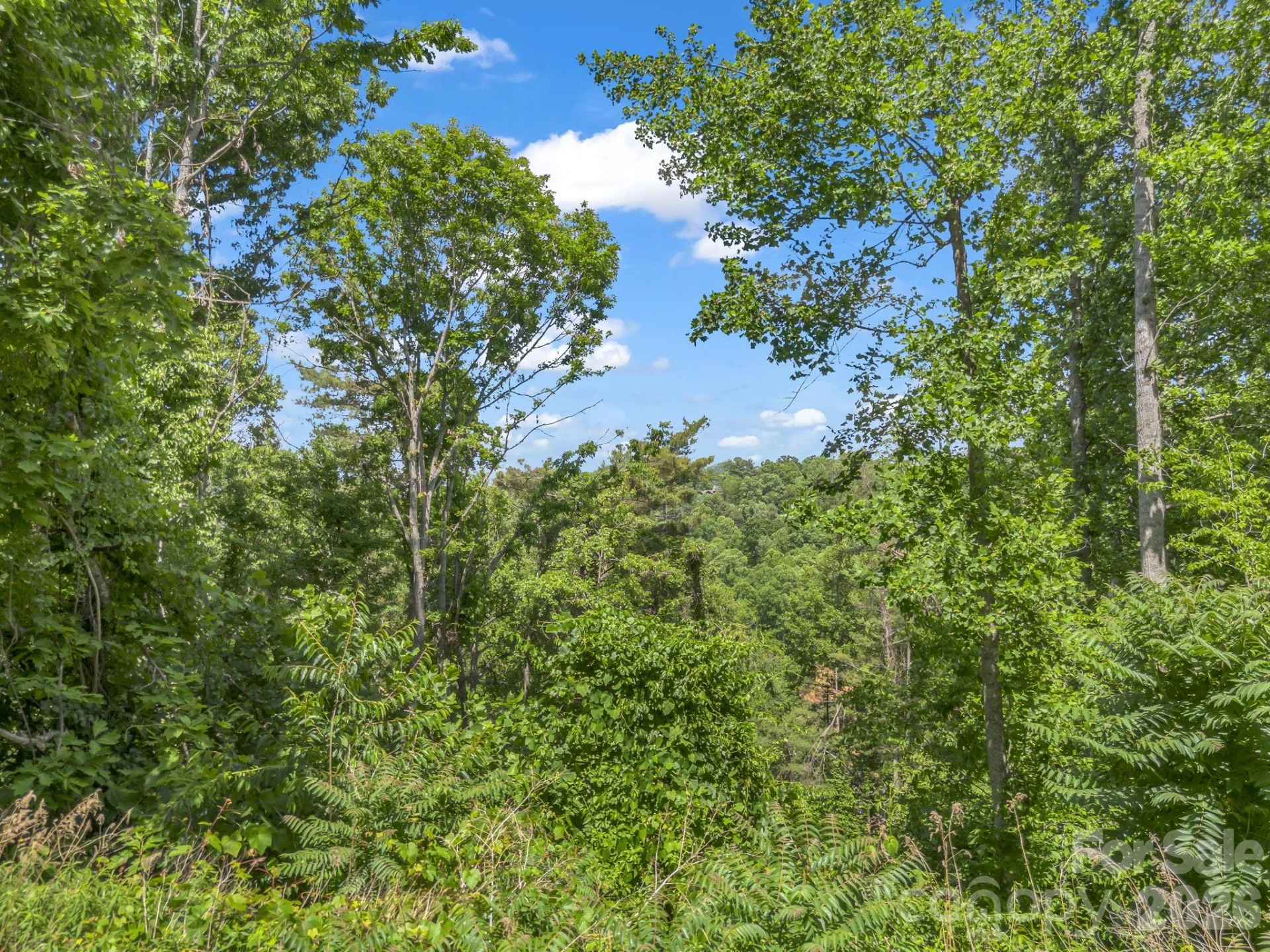 97 Longspur Lane - Photo 11