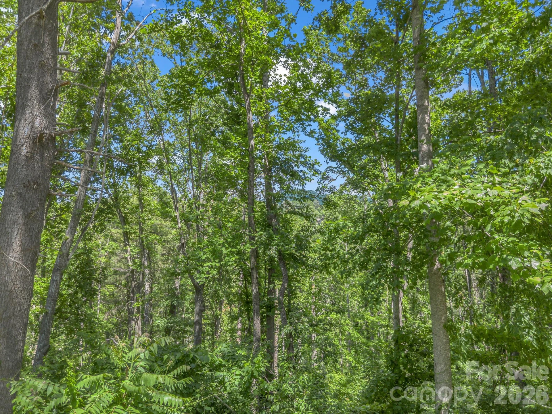 97 Longspur Lane - Photo 12