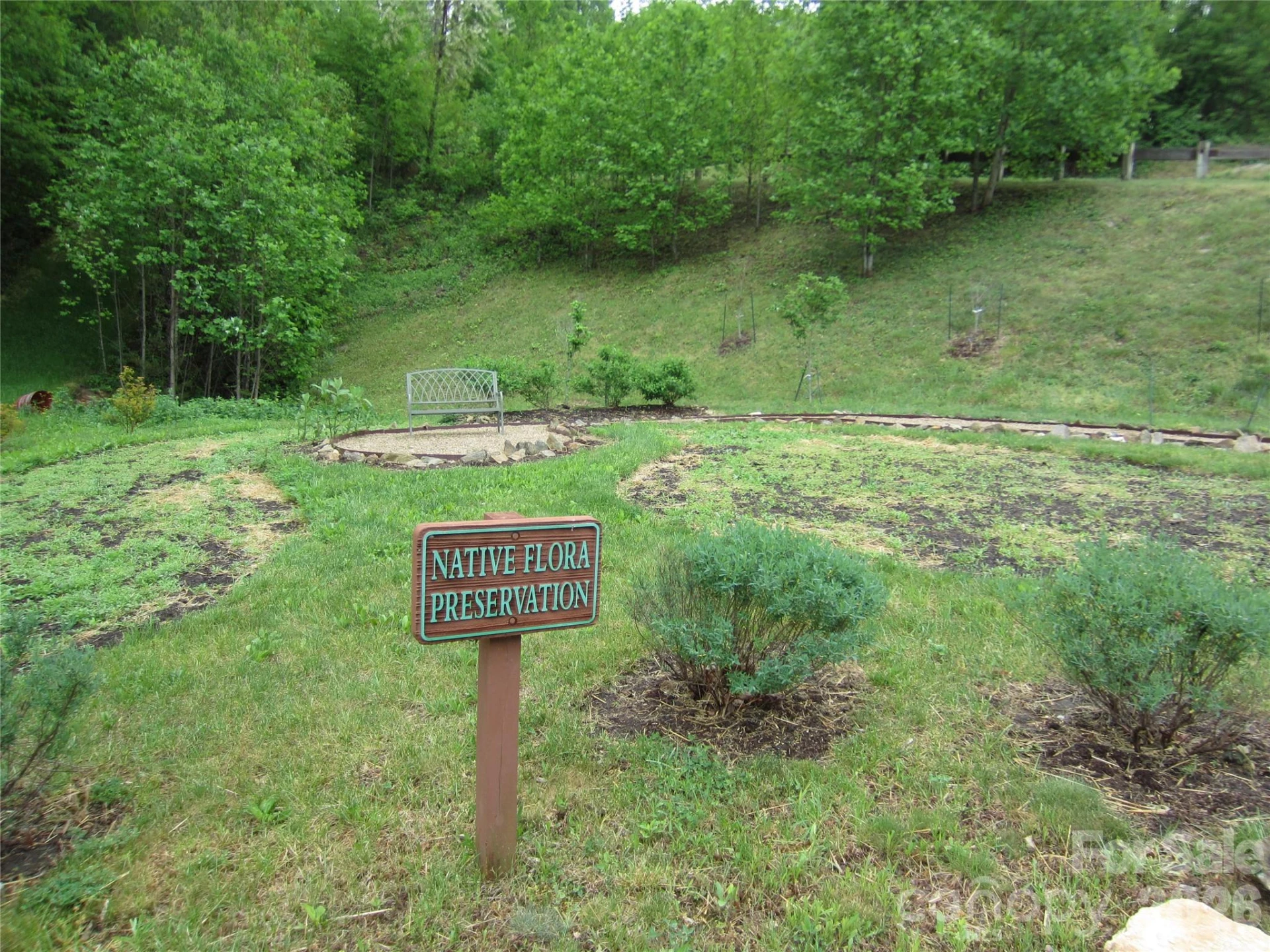 97 Longspur Lane - Photo 4