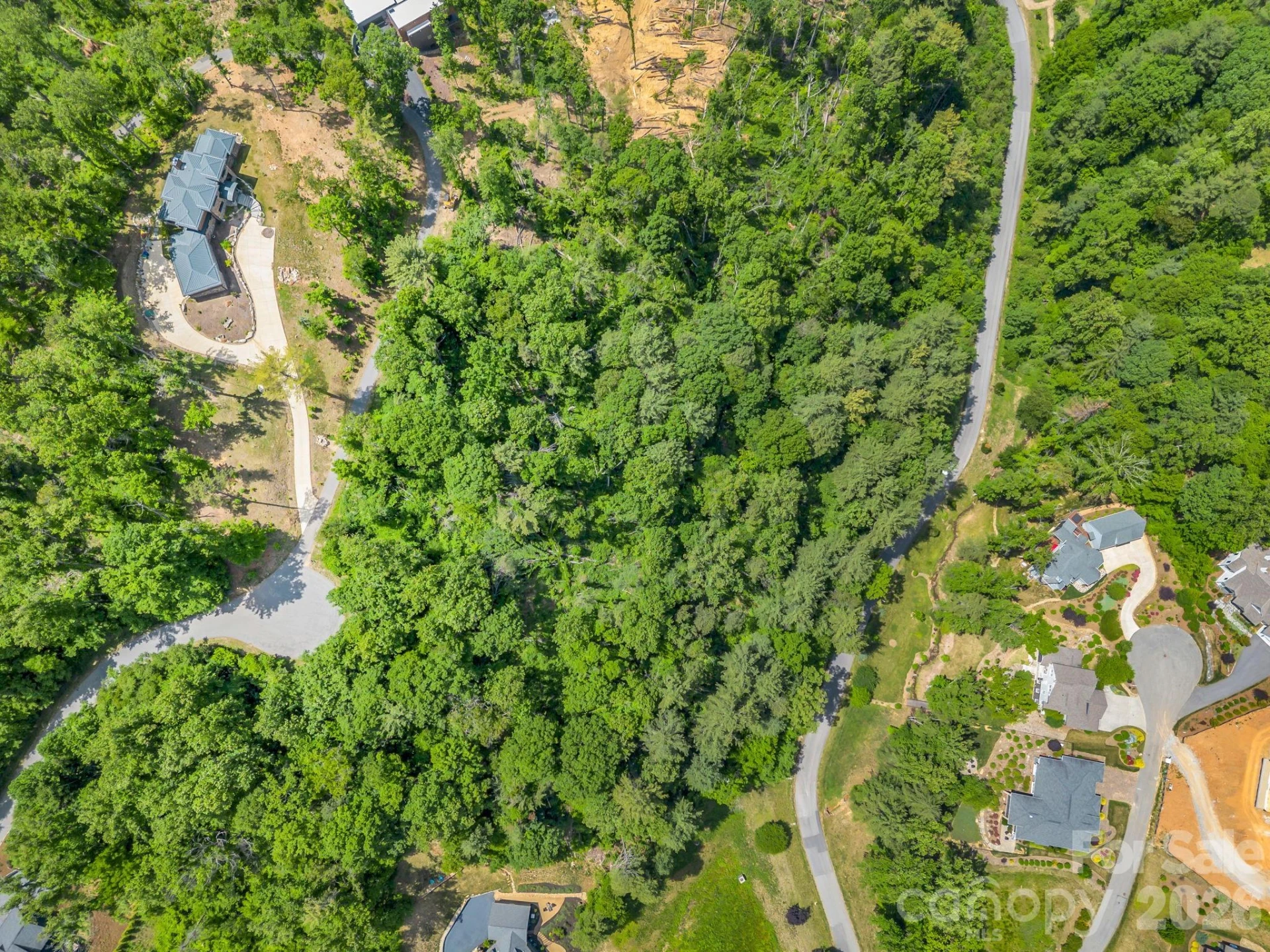 97 Longspur Lane - Photo 6