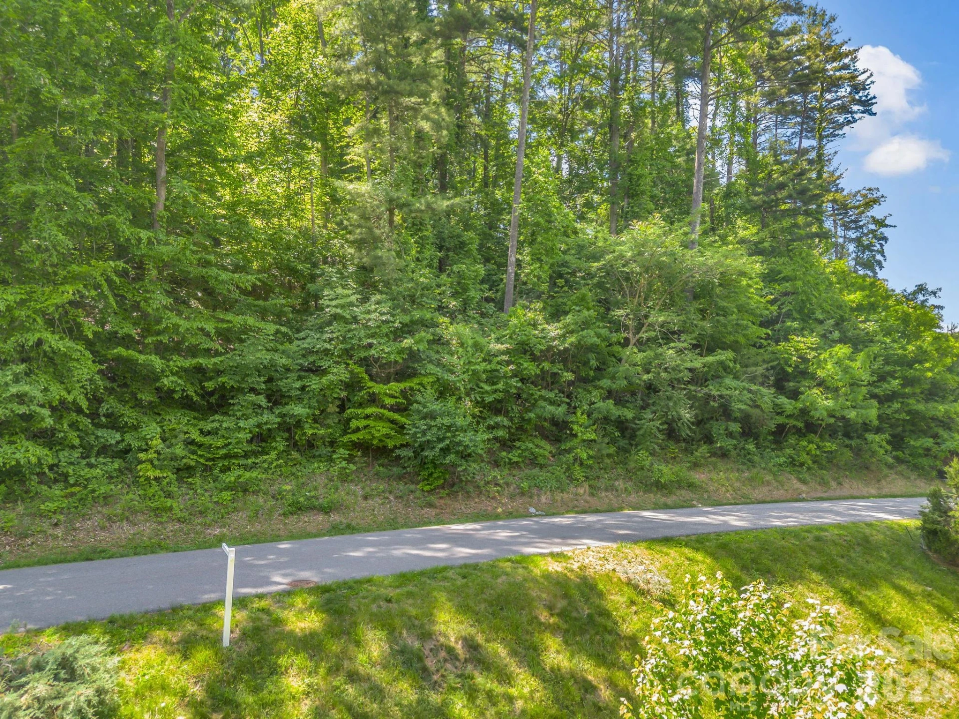 97 Longspur Lane - Photo 7