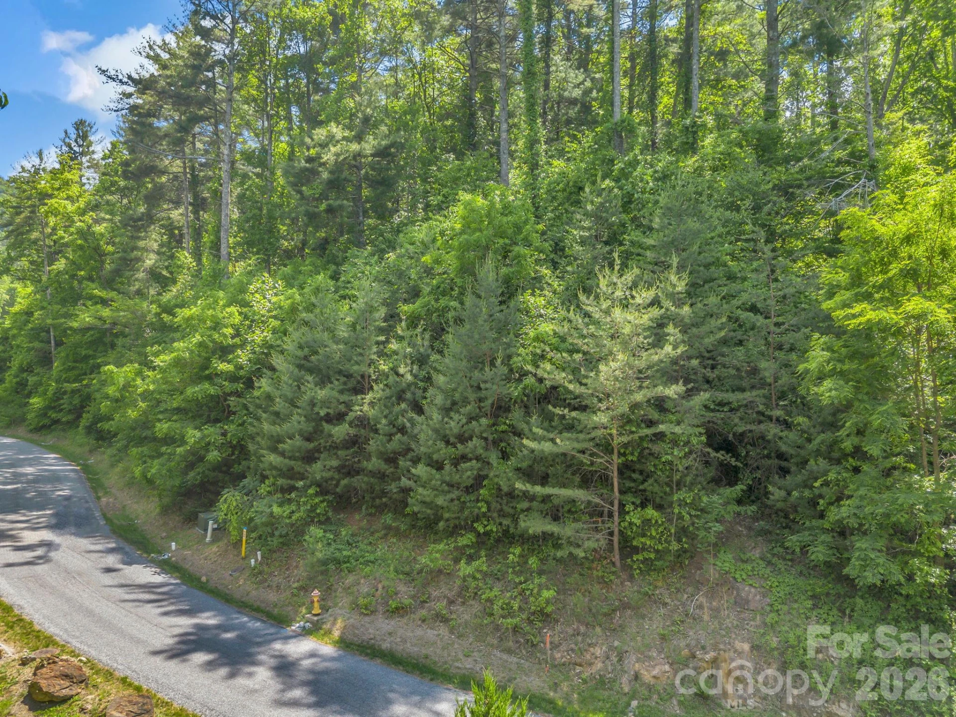 97 Longspur Lane - Photo 8