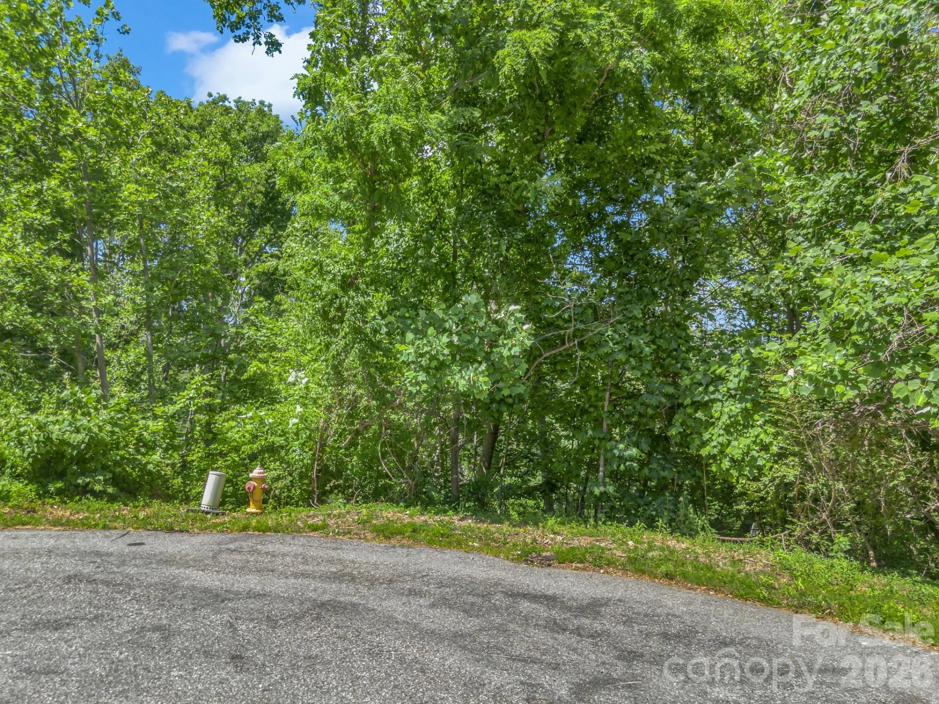 97 Longspur Lane - Photo 9