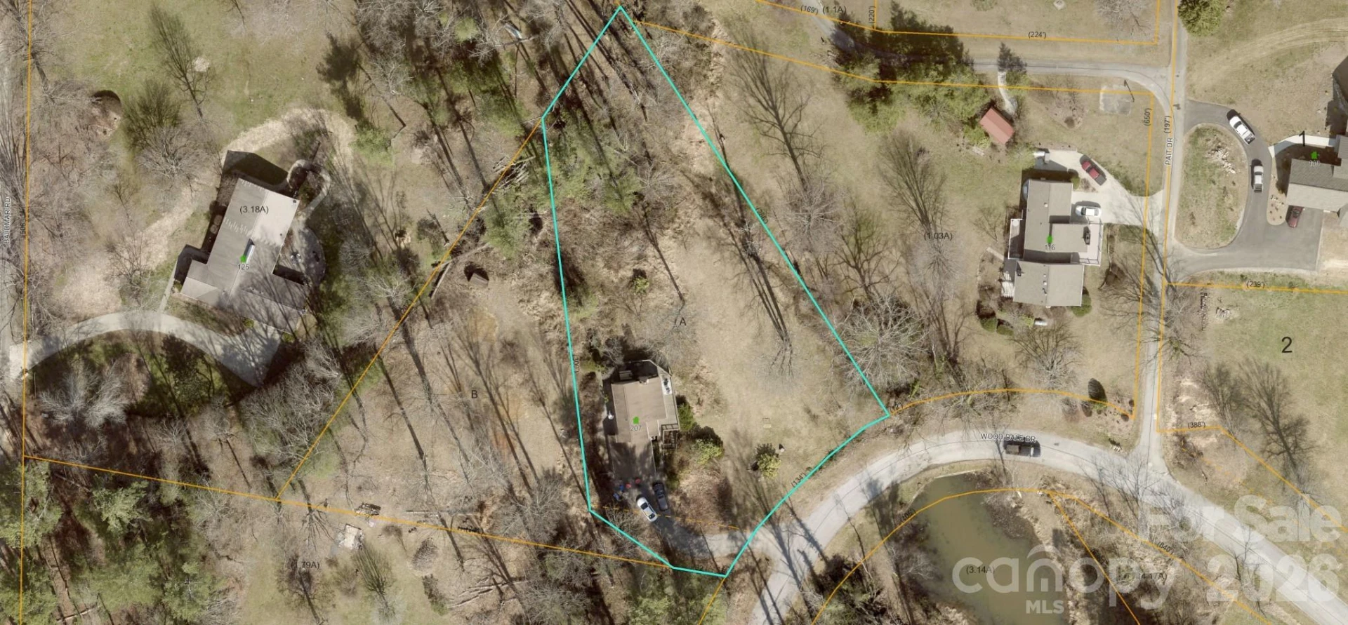 207 Wood Dale Drive - Photo 44