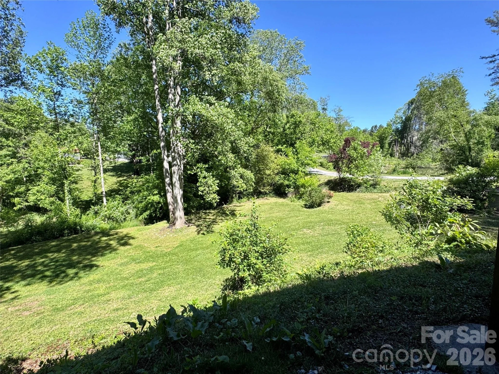 207 Wood Dale Drive - Photo 6