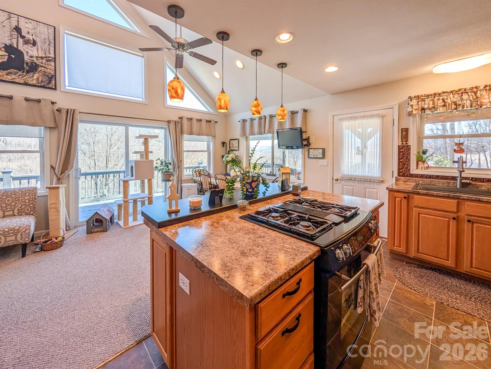 305 Majestic Mountain Drive - Photo 22