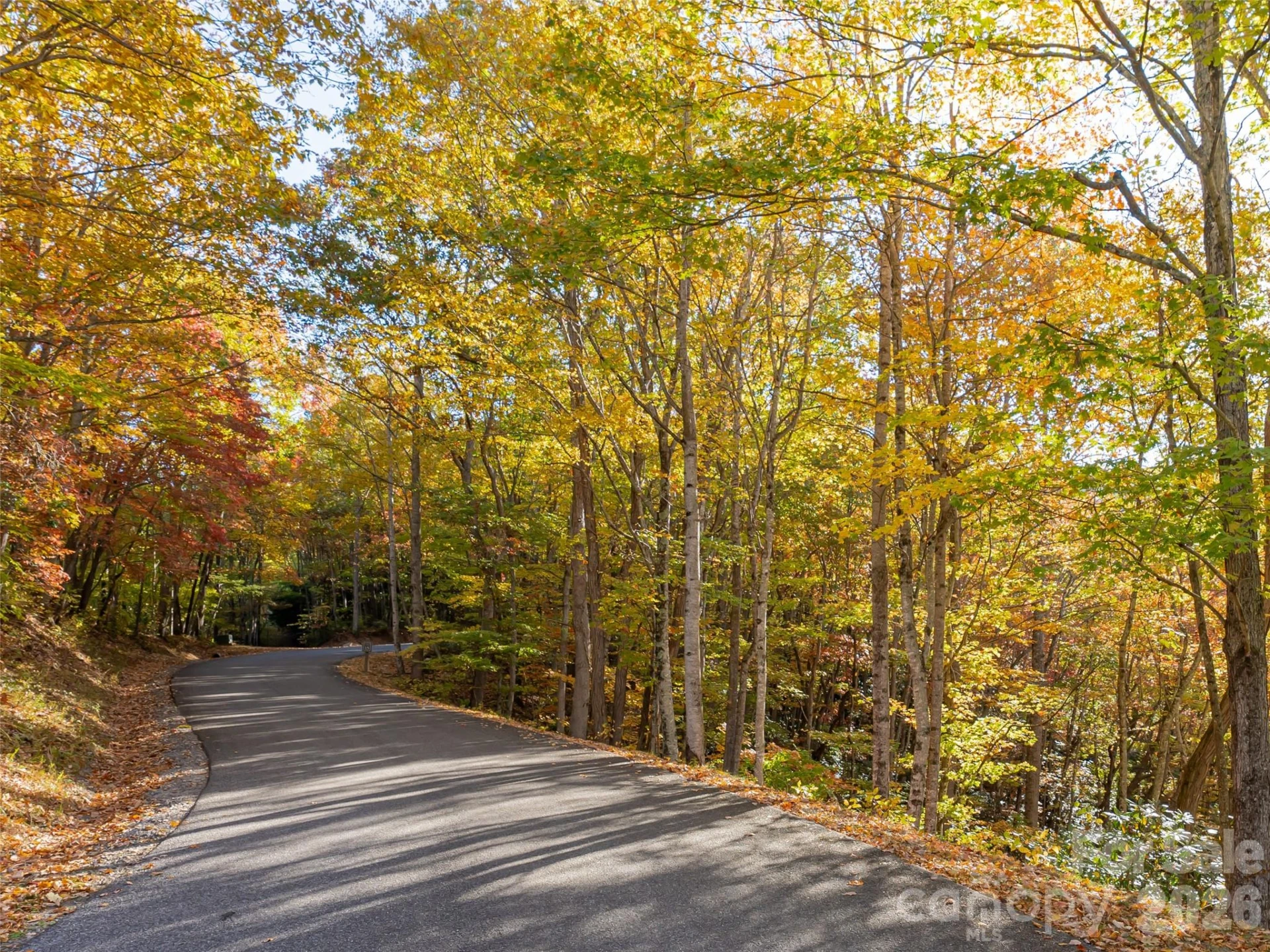 256 Haulback Way - Photo 32