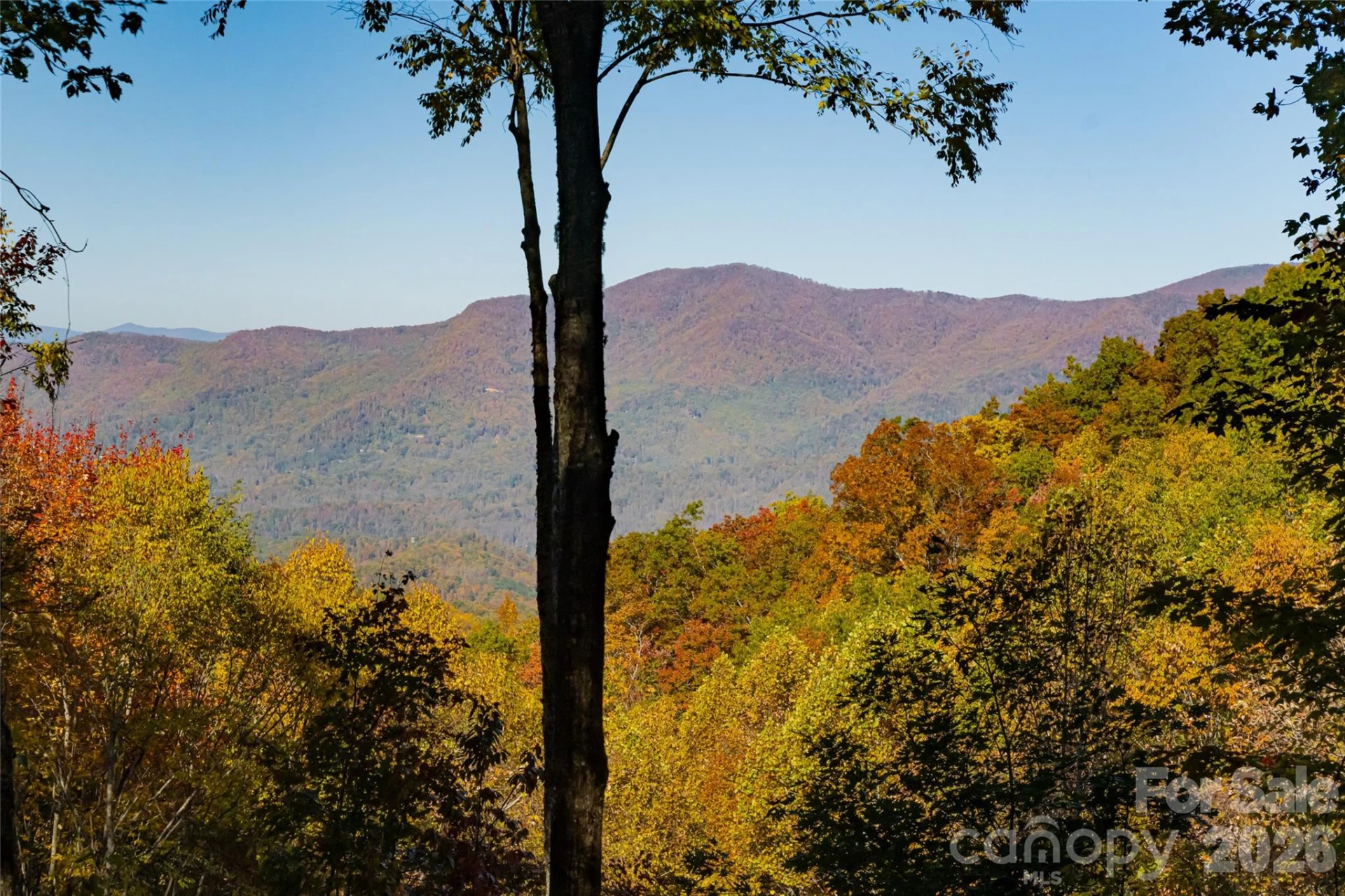 256 Haulback Way - Photo 35