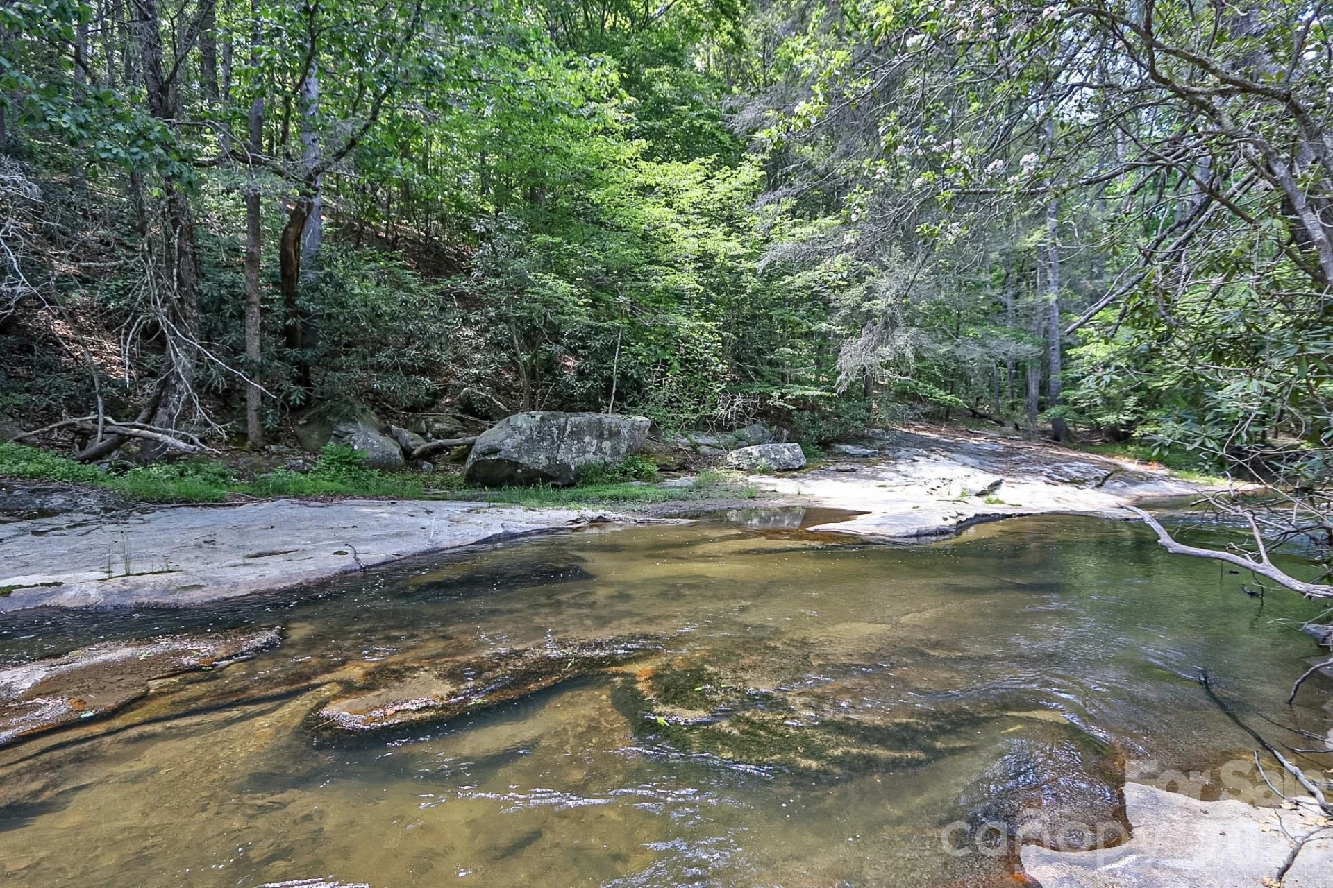 408 Stone River Drive - Photo 6