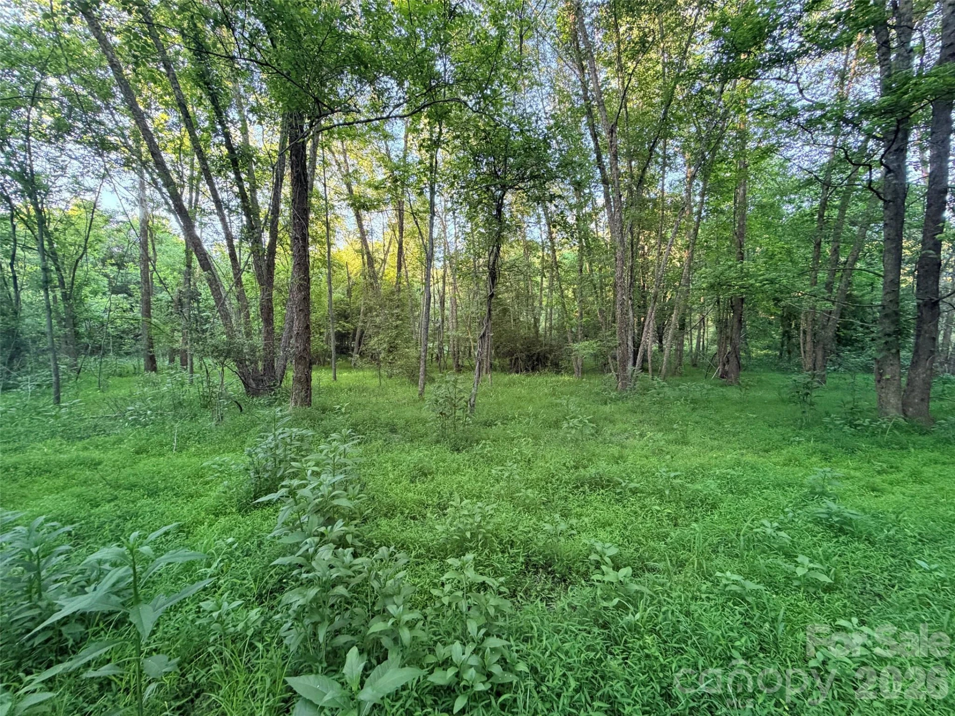 0 Morningstar Lake Road - Photo 11
