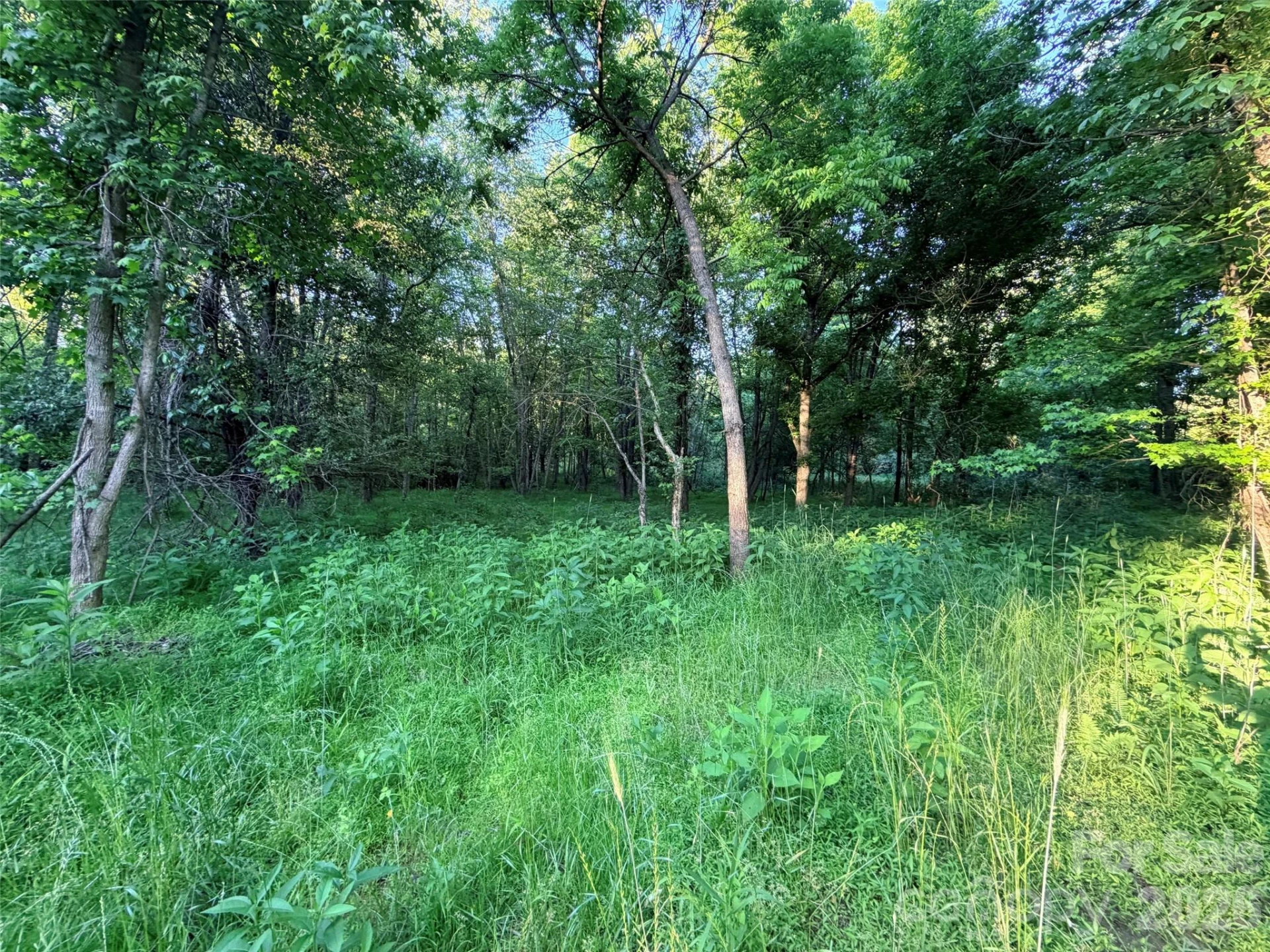 0 Morningstar Lake Road - Photo 12