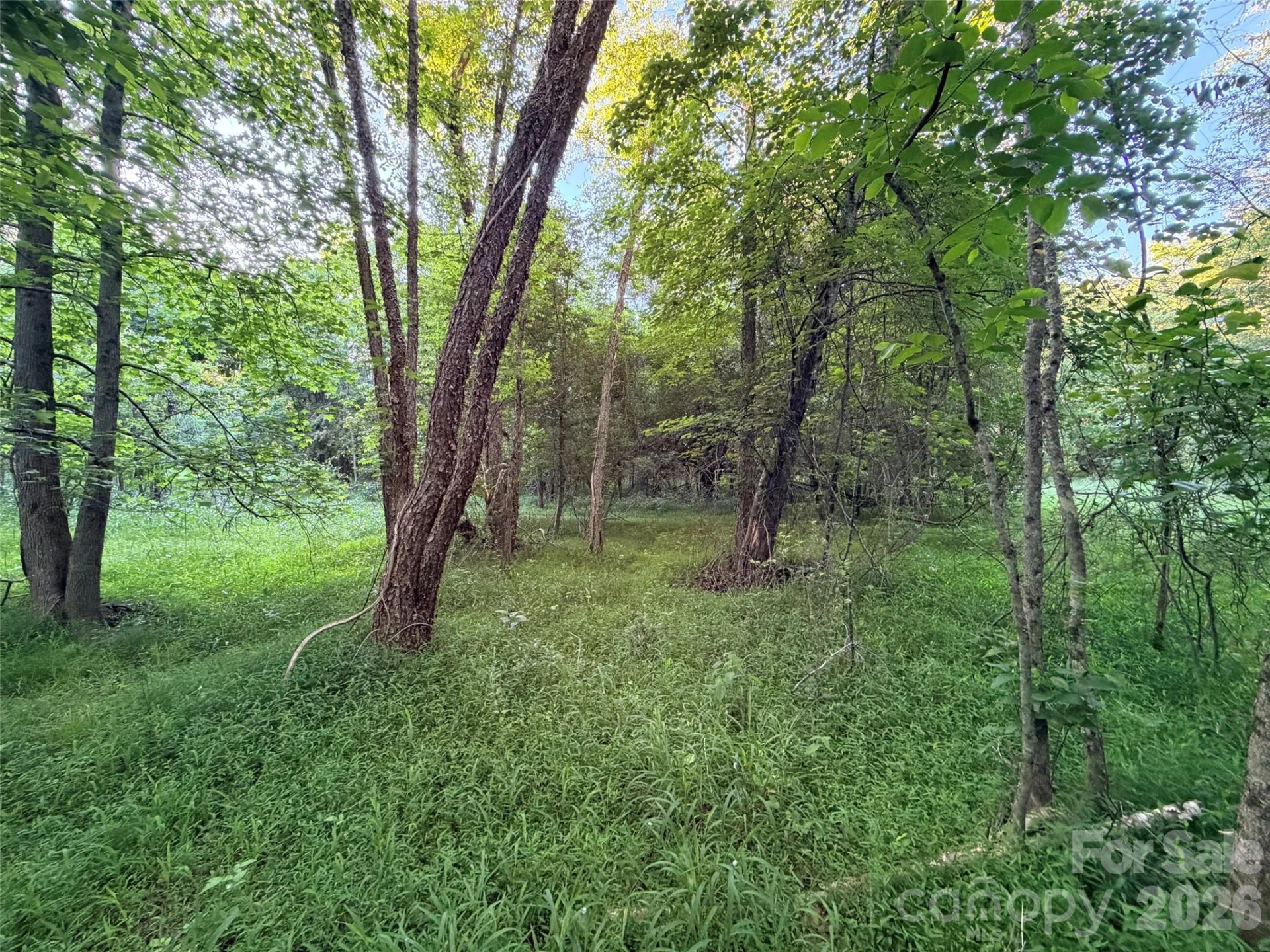 0 Morningstar Lake Road - Photo 14